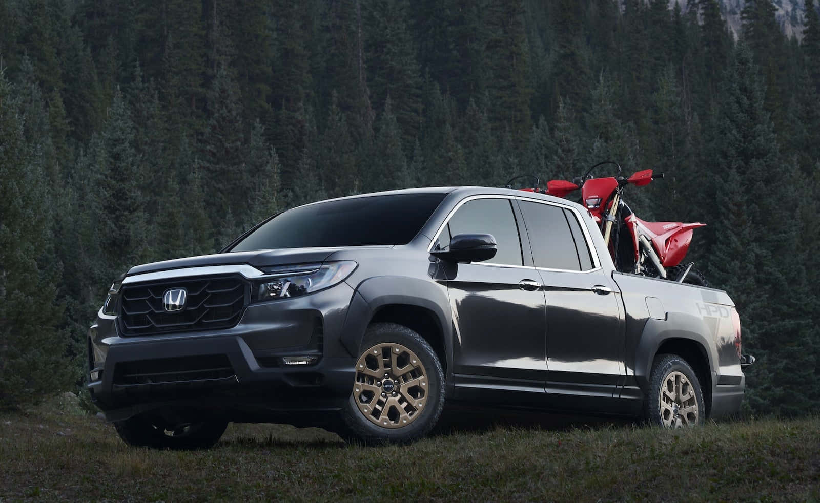 Honda Ridgeline 桌布 壁紙 — 一輛時尚的灰色本田皮卡車配金色輪圈，載著一輛紅色越野電單車穿過茂密的松樹林。