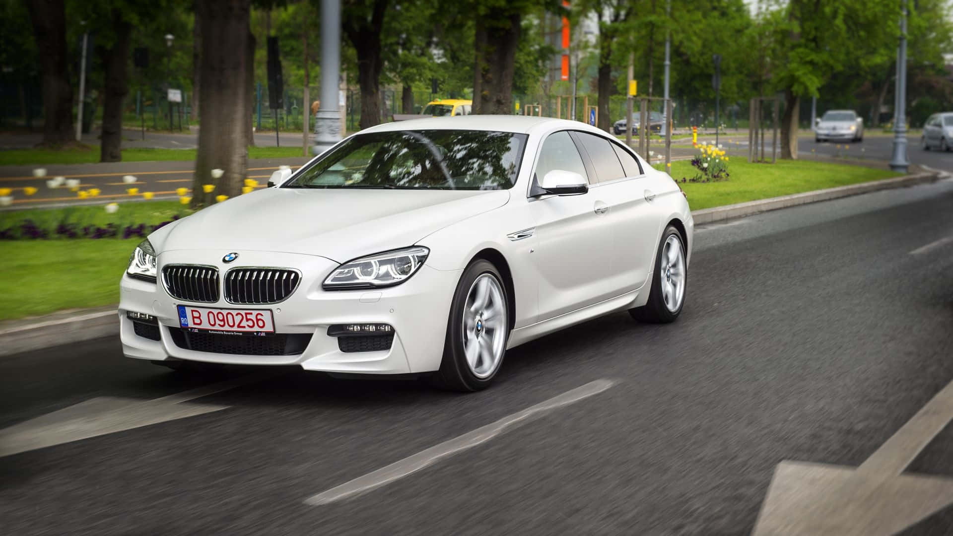 Bmw 6 Series 桌布 壁紙 — 一輛時尚的白色BMW 6系轎跑車在綠草和黃花點綴的林蔭城市街道上平穩滑行。