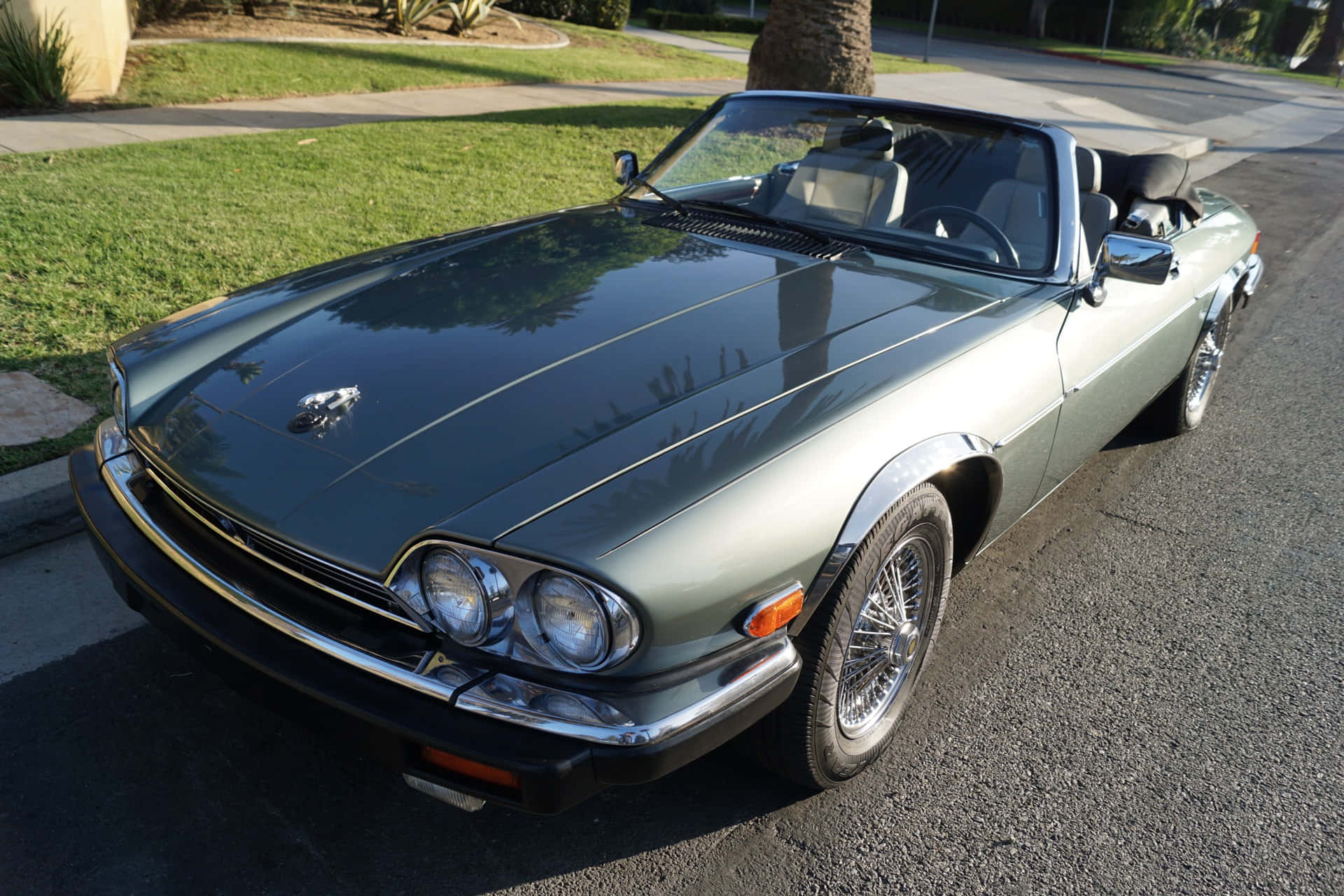 Jaguar Xjs 桌布 壁紙 — 一輛時尚的綠色經典敞篷跑車停在郊區街道上，背景有棕櫚樹和草地。