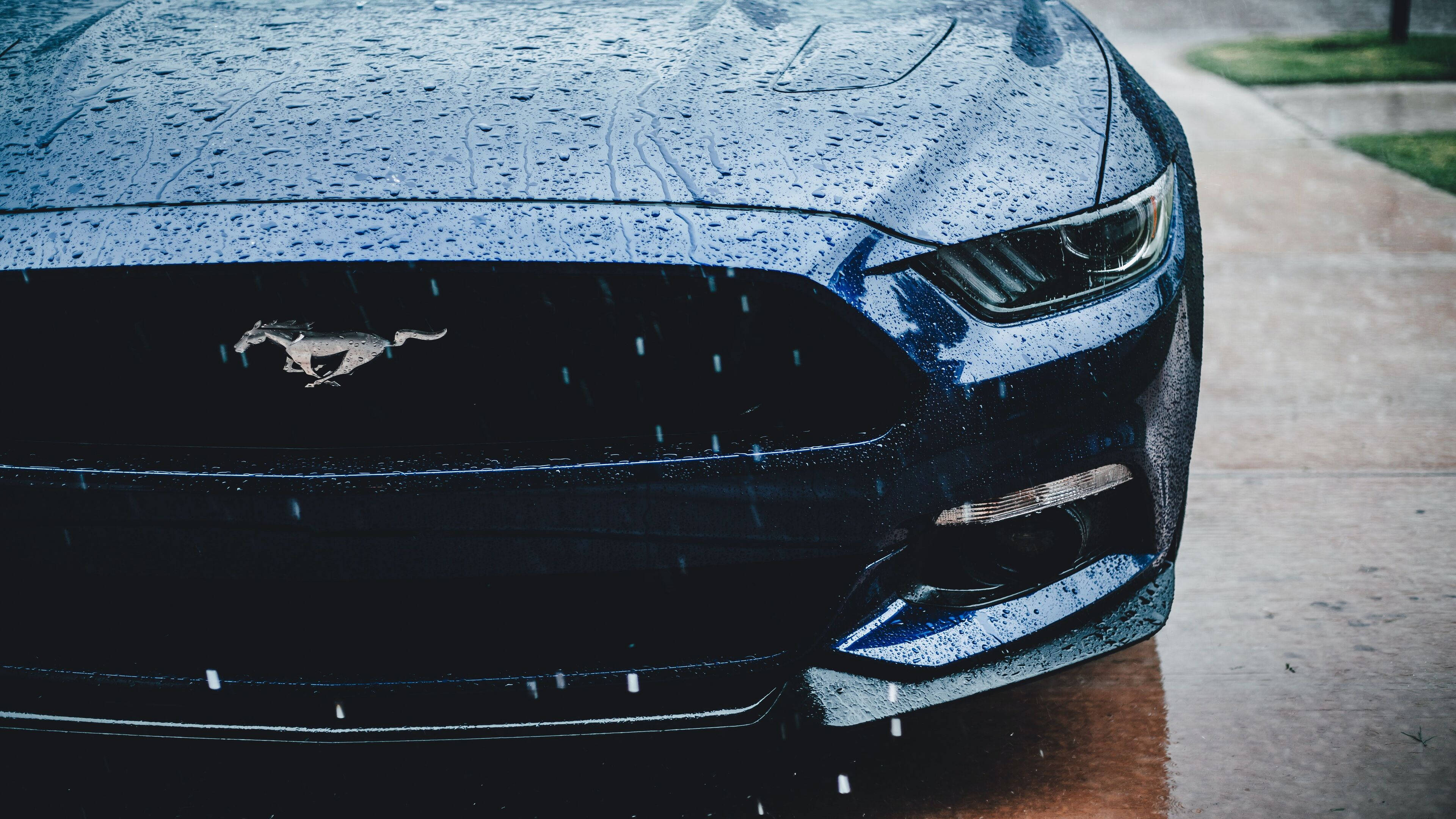 mustang HD 桌布 壁紙 — 一輛時尚的藍色福特野馬，在潮濕的路燈下，引擎蓋和格柵上閃爍著雨滴。