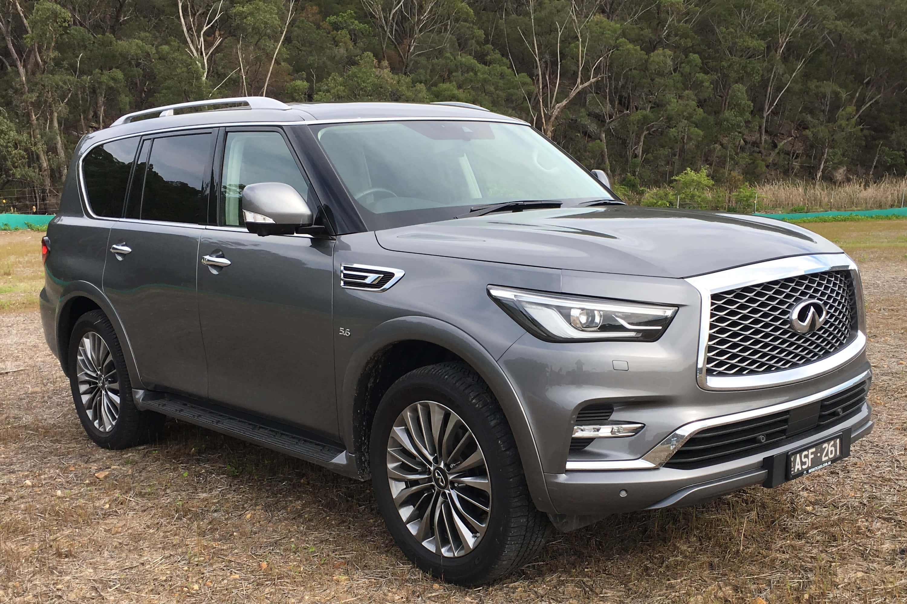 Infiniti Qx80 桌布 壁紙 — 一輛時尚的銀色 Infiniti QX80 SUV 停放在乾草上，背景是森林，在明亮的日光下。