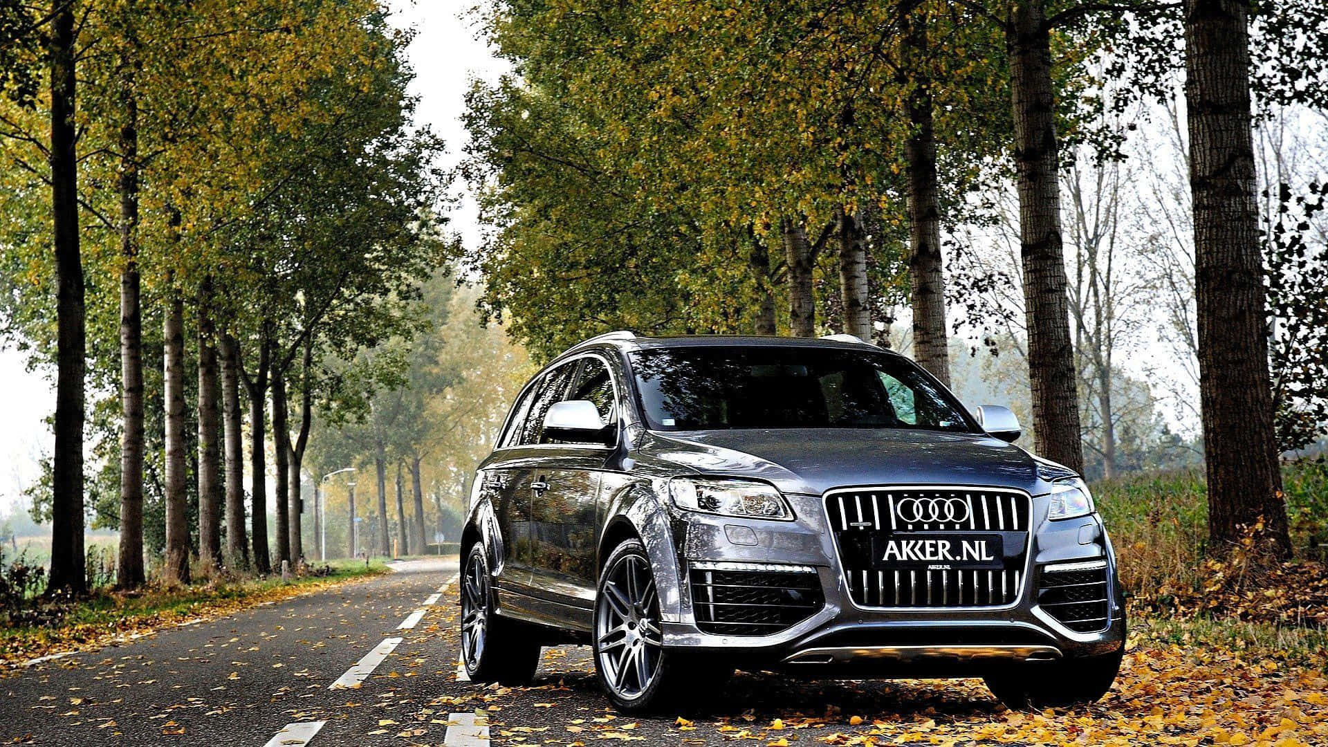 Audi Q7 桌布 壁紙 — 一輛時尚的銀色Audi SUV停泊在鋪滿落葉、兩旁種滿樹木的秋季道路上。