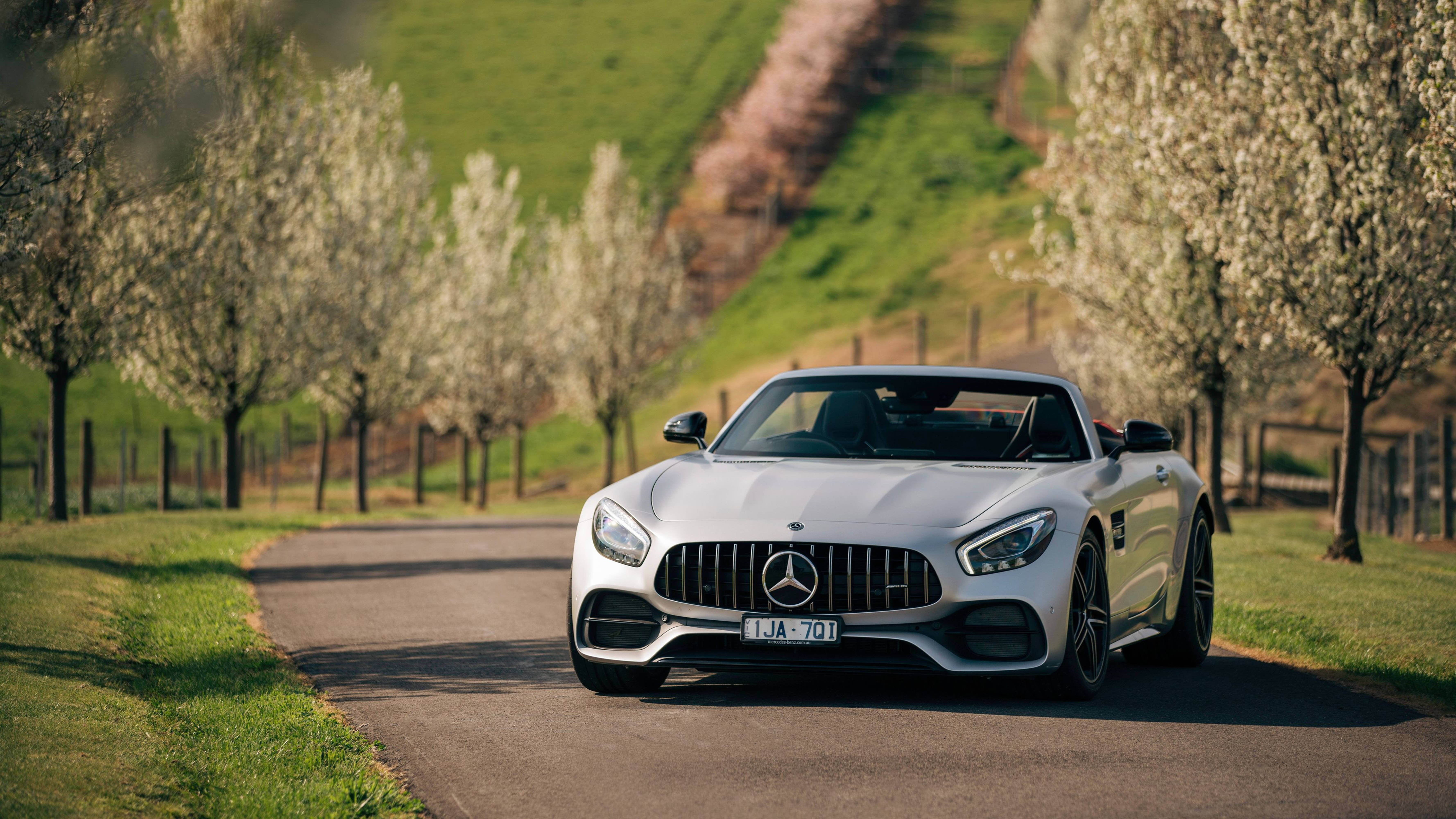 cars 桌布 壁紙 — 一輛時尚的銀色Mercedes-AMG GT Roadster在明媚陽光下行駛在兩旁開滿白花的蜿蜒鄉間小路上。