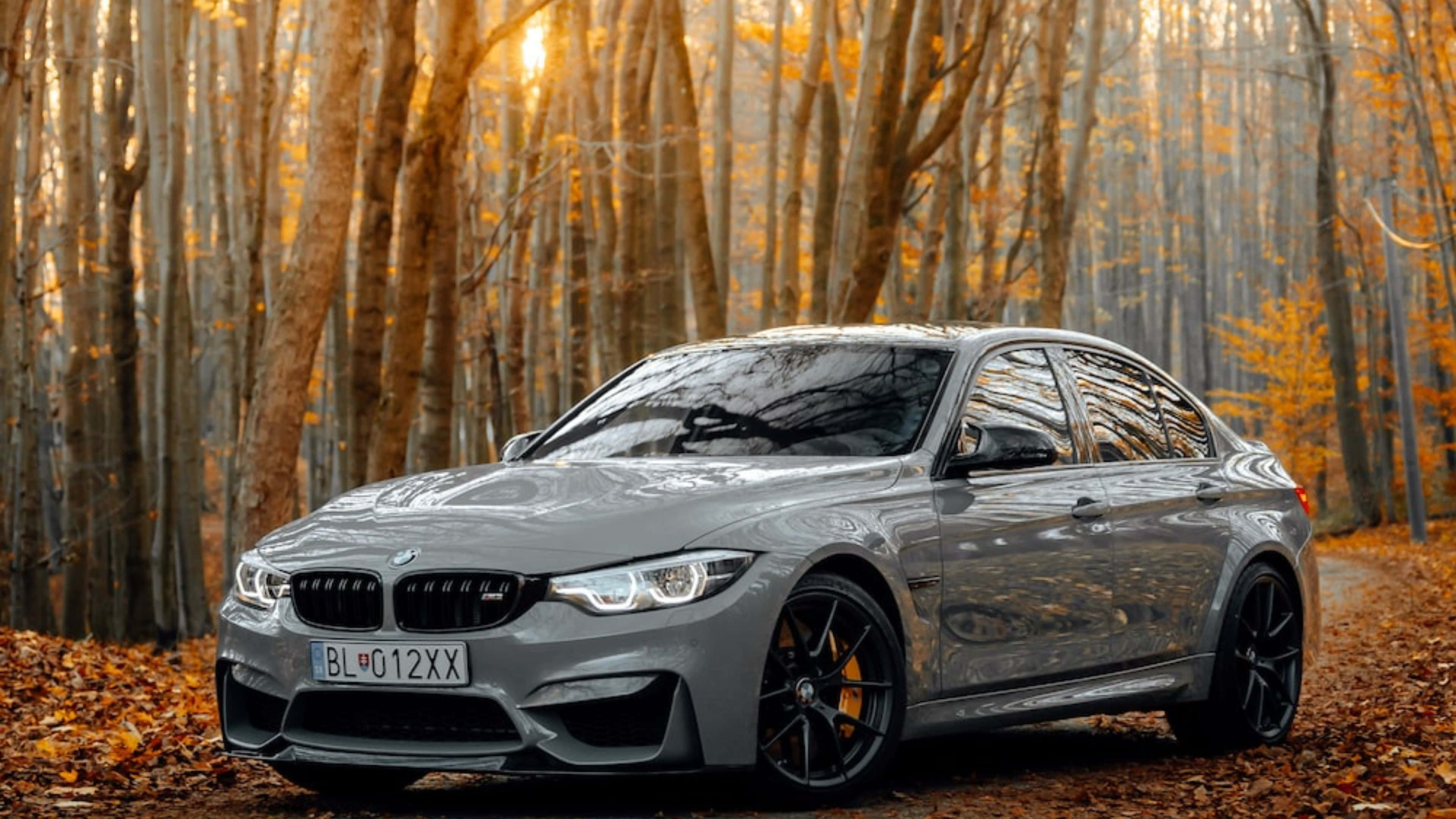 4K BMW 壁紙 桌布 壁紙 — 一輛時尚的銀色寶馬房車停泊在落葉鋪滿的森林小徑上，沐浴在穿過高聳樹木的秋日金色陽光中。