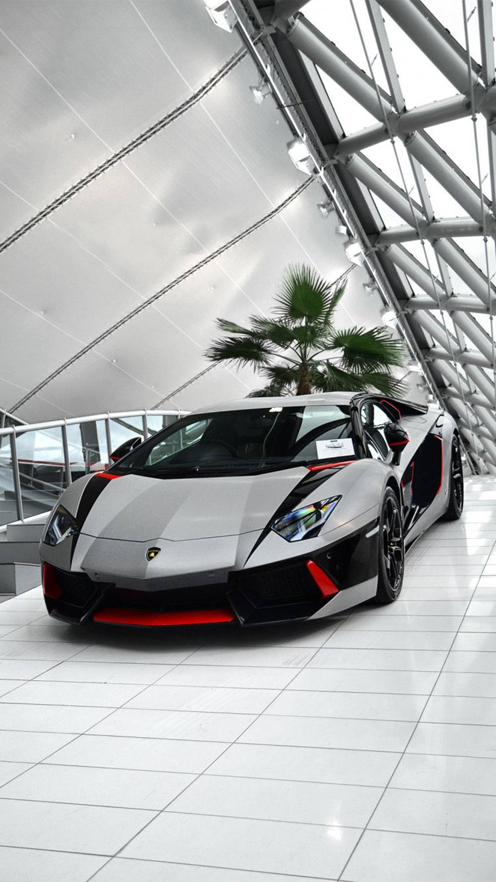 汽車 桌布 壁紙 — 一輛時尚的銀色林寶堅尼Aventador帶有紅色點綴，停放在白色瓷磚地板上，上方是現代化的玻璃和鋼結構屋頂，周圍有棕櫚樹。