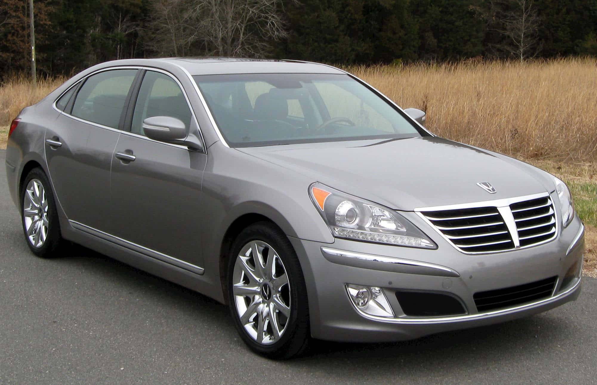 Hyundai Equus 桌布 壁紙 — 一輛時尚的銀色豪華轎車停在瀝青路上，背景有乾草和樹木。