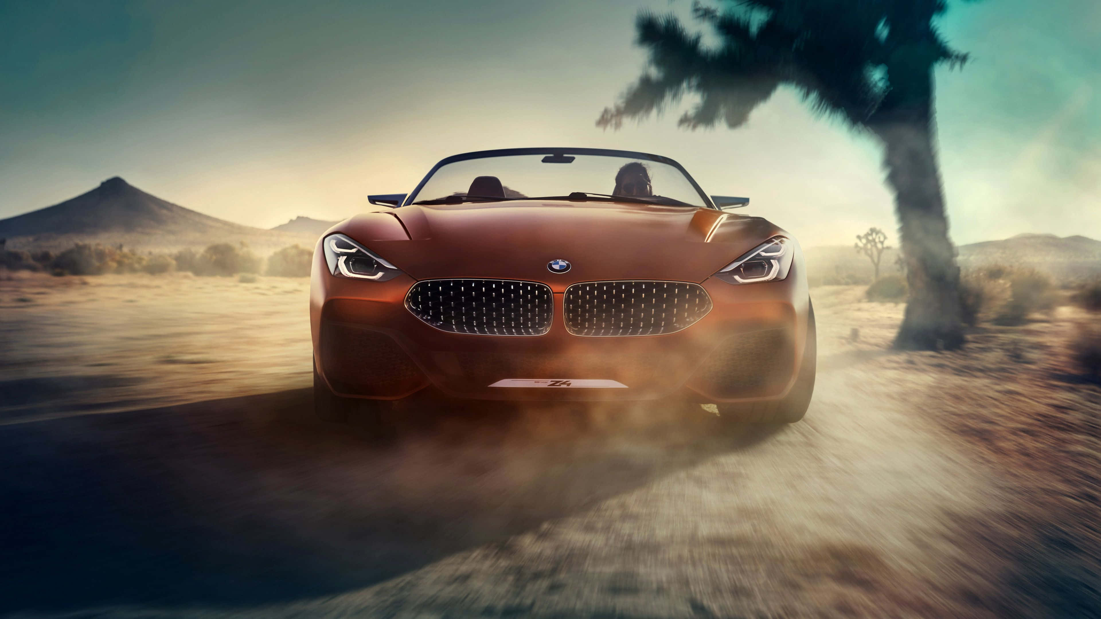 Bmw Z4 桌布 壁紙 — 一輛時尚的青銅色開篷跑車在塵土飛揚的沙漠景觀中疾馳，背景有棕櫚樹和遠山，天空朦朧。