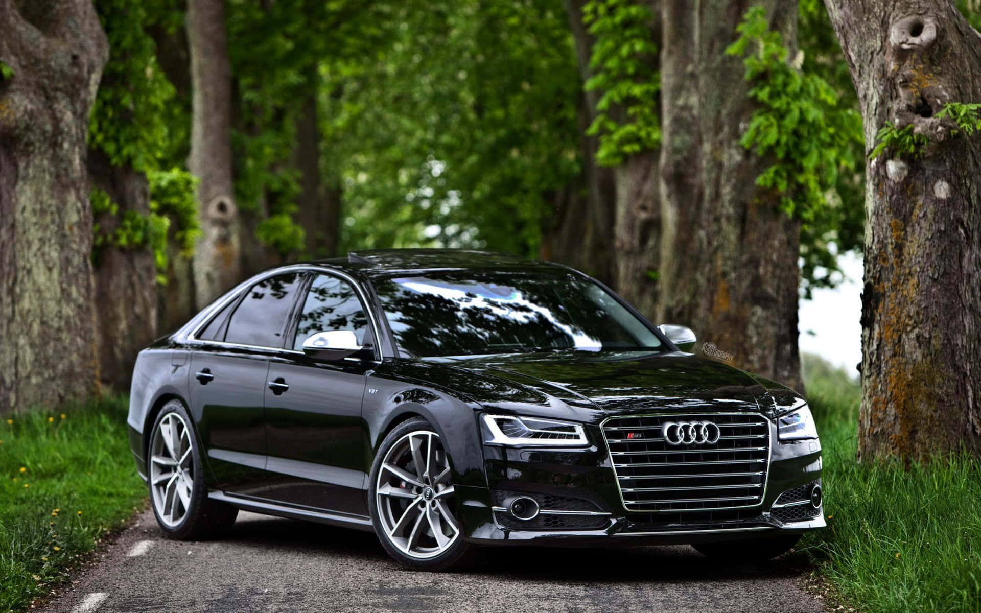 Audi S8 桌布 壁紙 — 一輛時尚的黑色Audi S8轎車停泊在綠樹成蔭的碎石路上，周圍環繞著茂密的綠色樹葉。