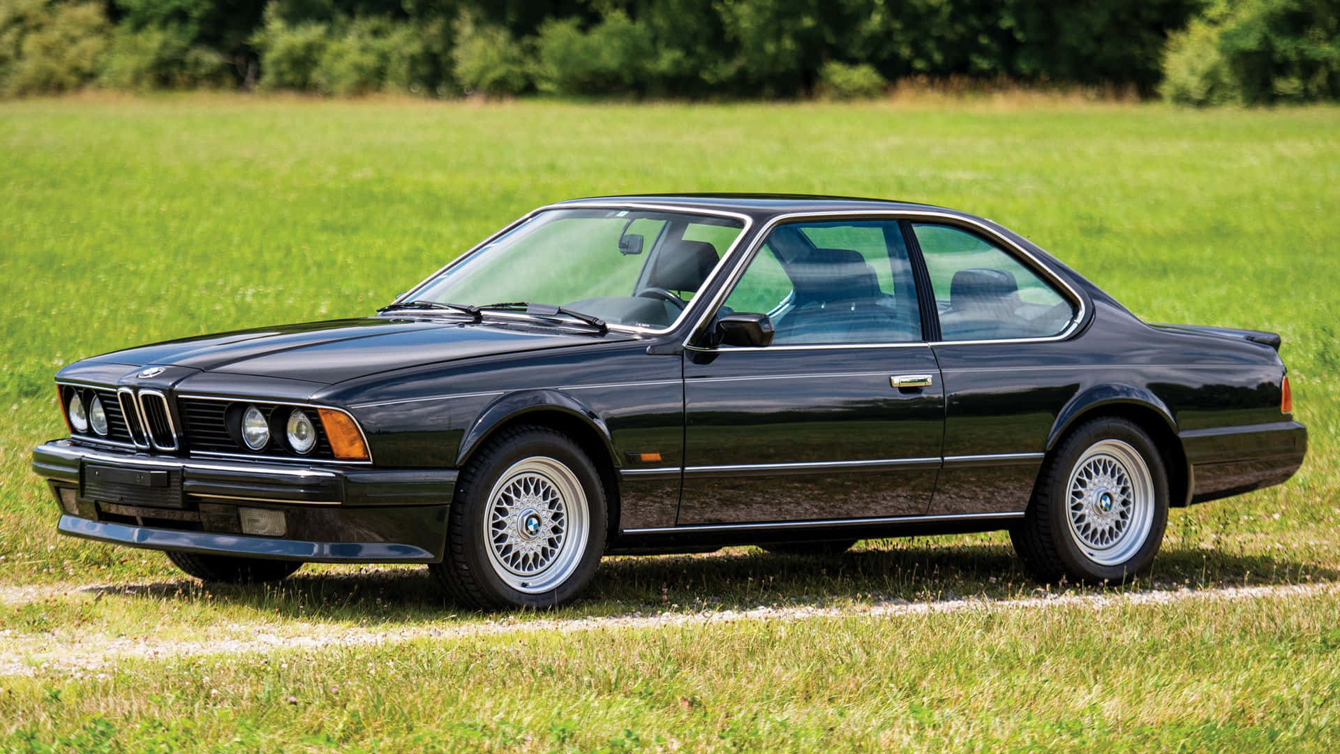 Bmw 6 Series 桌布 壁紙 — 一輛時尚的黑色BMW E24雙門轎跑車停在草地上，背景有樹木，在明亮的日光下。