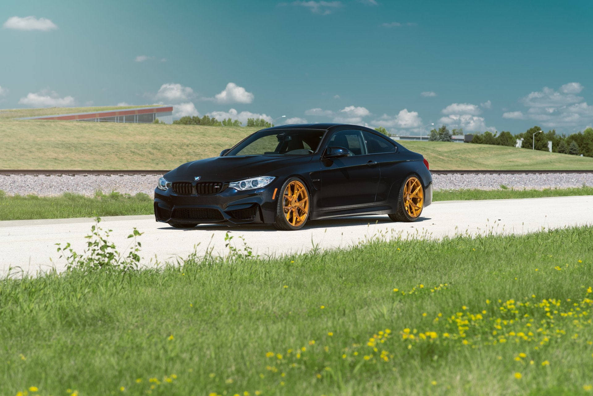 Sports Car 桌布 壁紙 — 一輛時尚的黑色BMW M4雙門跑車配以鮮豔的金色輪圈，停泊在路邊小徑，周圍是綠草和黃色野花，天空湛藍，白雲點點。
