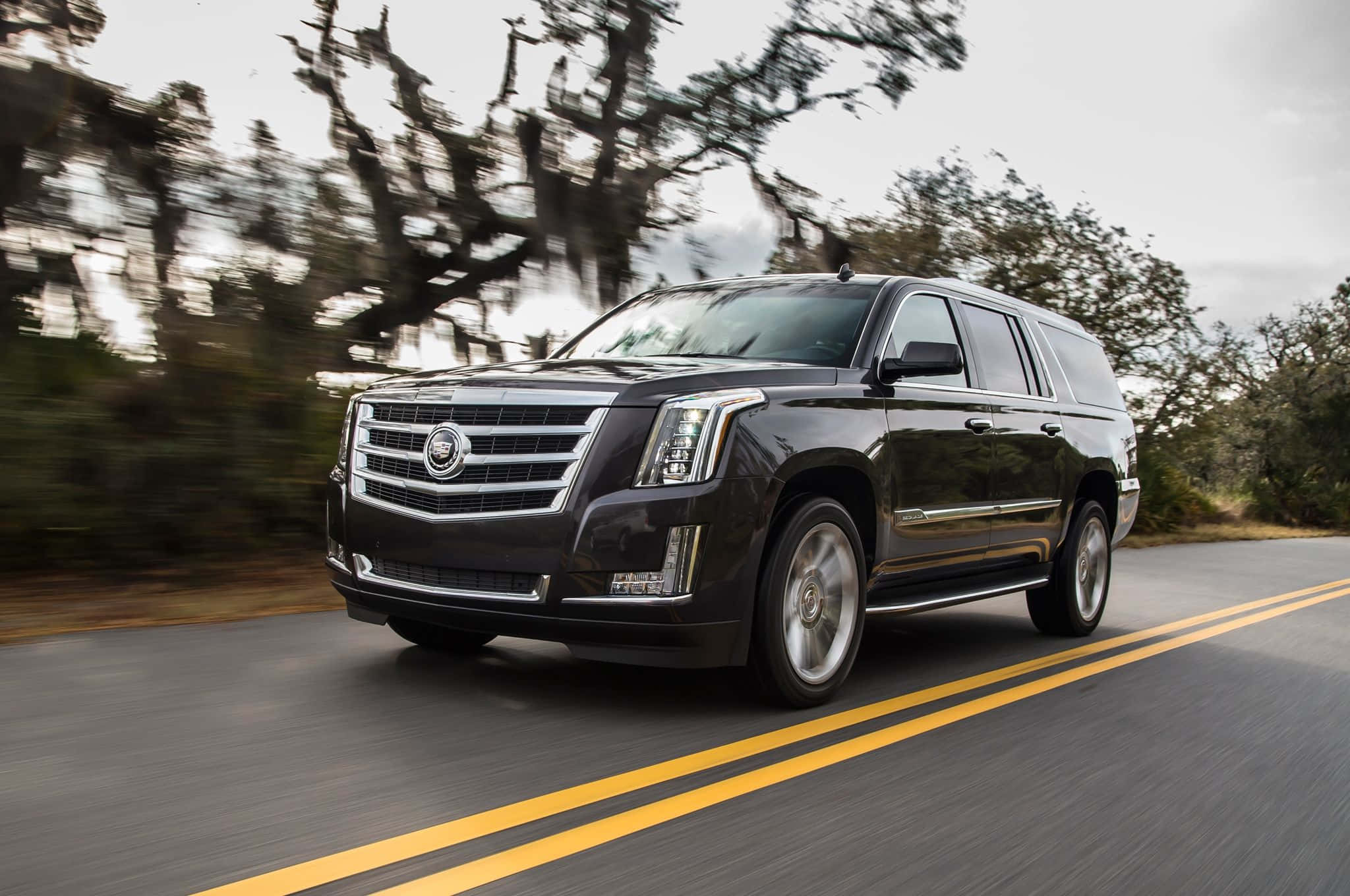 Cadillac Escalade 桌布 壁紙 — 一輛時尚的黑色凱迪拉克SUV在蜿蜒的道路上疾馳，背景是模糊的樹木。