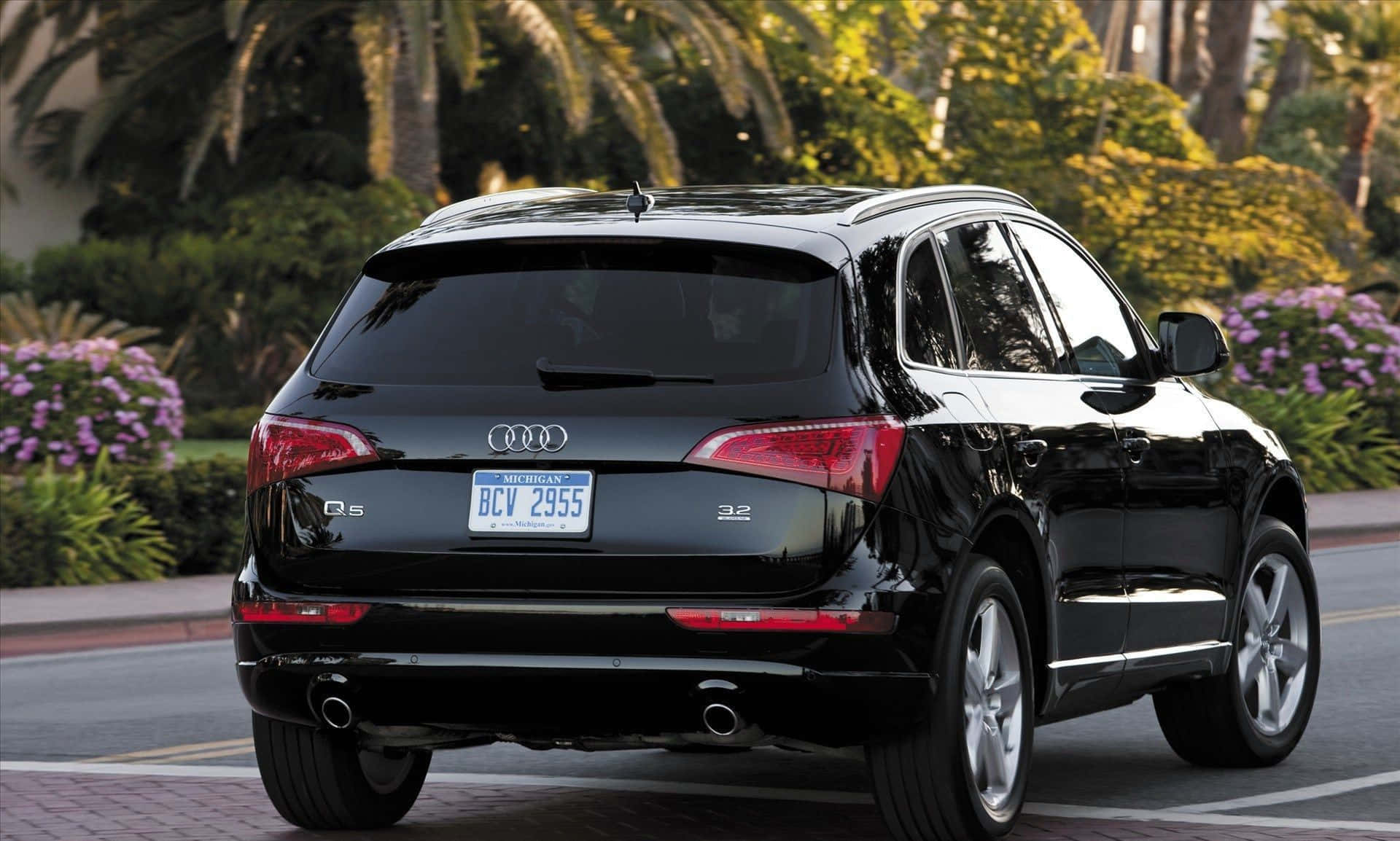 Audi Q5 桌布 壁紙 — 一輛時尚的黑色奧迪Q5 SUV停泊在陽光明媚的街道上，背景有棕櫚樹和開花的灌木叢。