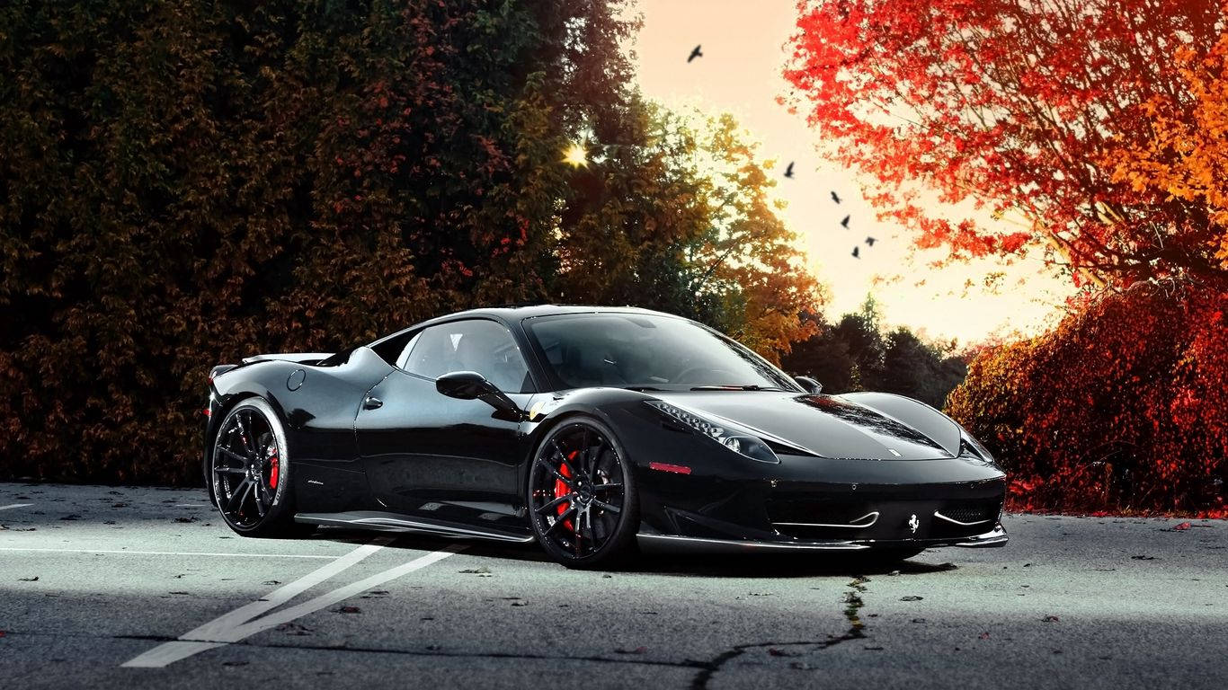 Sports Car 桌布 壁紙 — 一輛時尚的黑色法拉利跑車停在瀝青路上，背景是金黃色的日落、充滿活力的秋樹和飛翔的鳥兒。