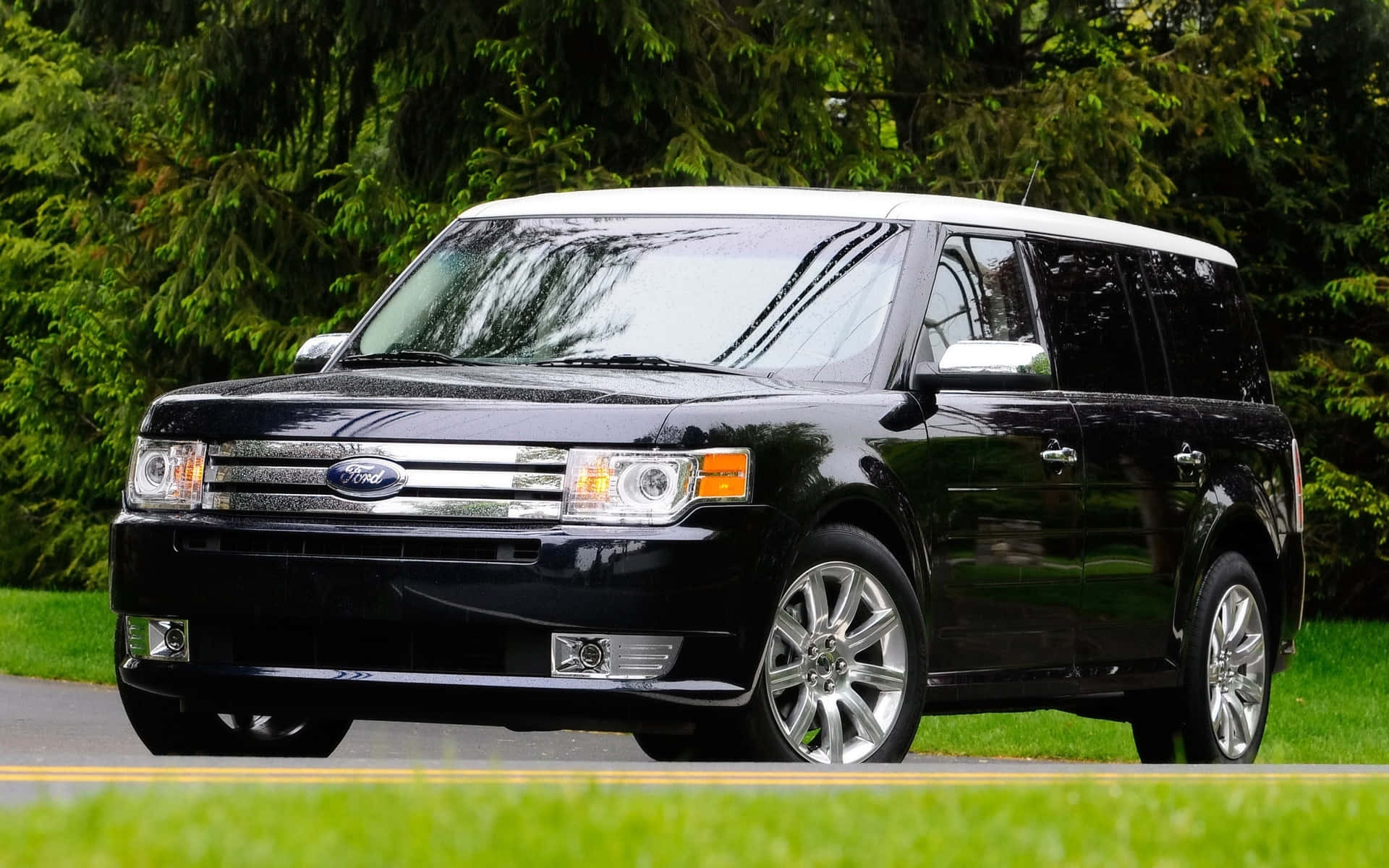 Ford Flex 桌布 壁紙 — 一輛時尚的黑色福特Flex SUV，白色車頂，停在路邊，旁邊是茂密的綠草和濃密的樹木。