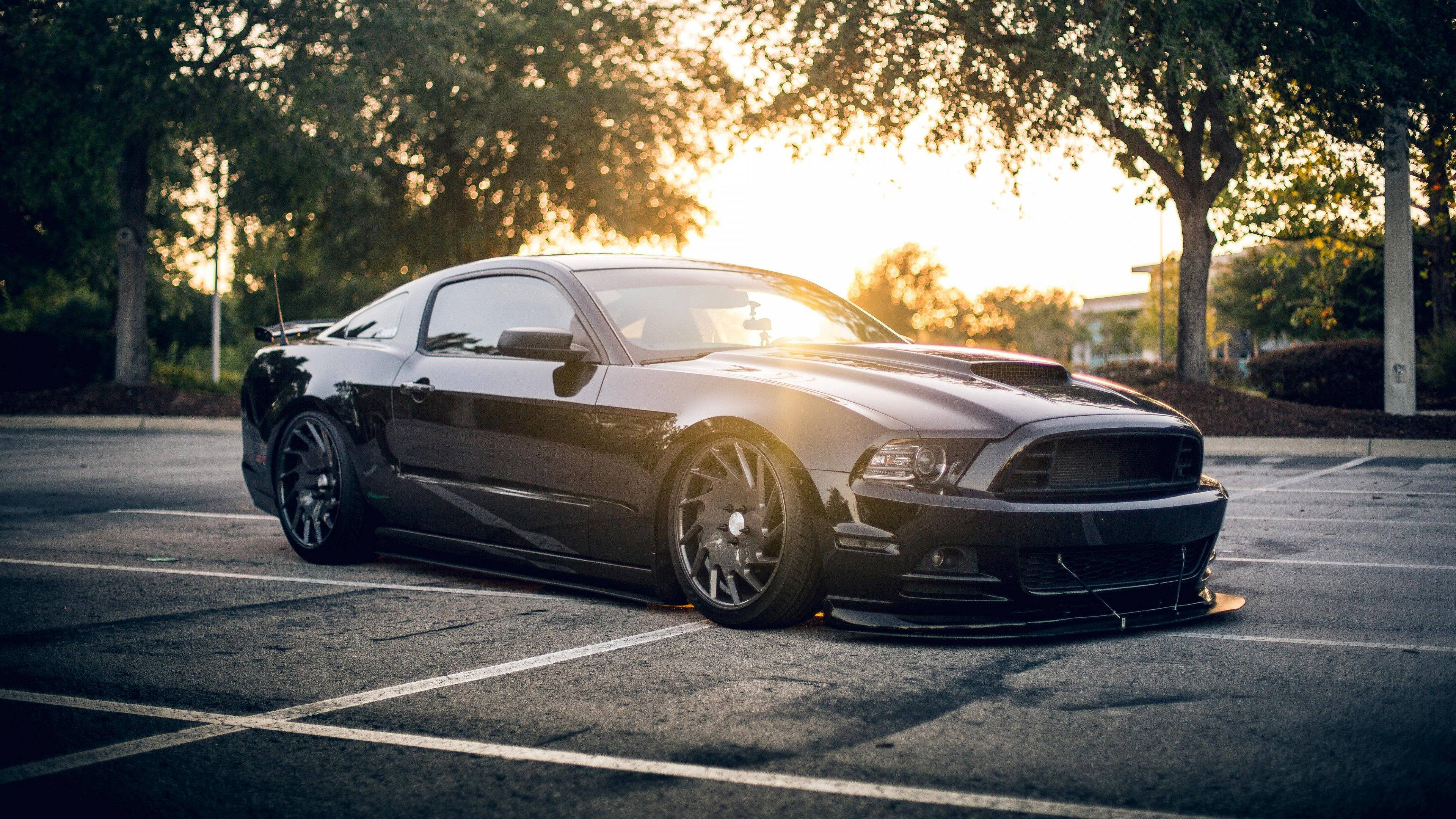 mustang HD 桌布 壁紙 — 一輛時尚的黑色肌肉車停在陽光明媚的停車場，樹木在黃金時刻投下長長的影子。