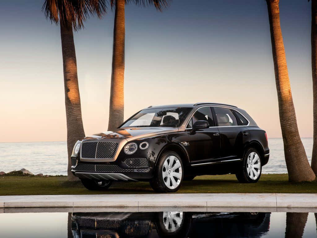 Bentley Bentayga 桌布 壁紙 — 一輛時尚的黑色賓利 Bentayga SUV 在金色夕陽下，在海邊的棕櫚樹和反射池旁閃閃發光。