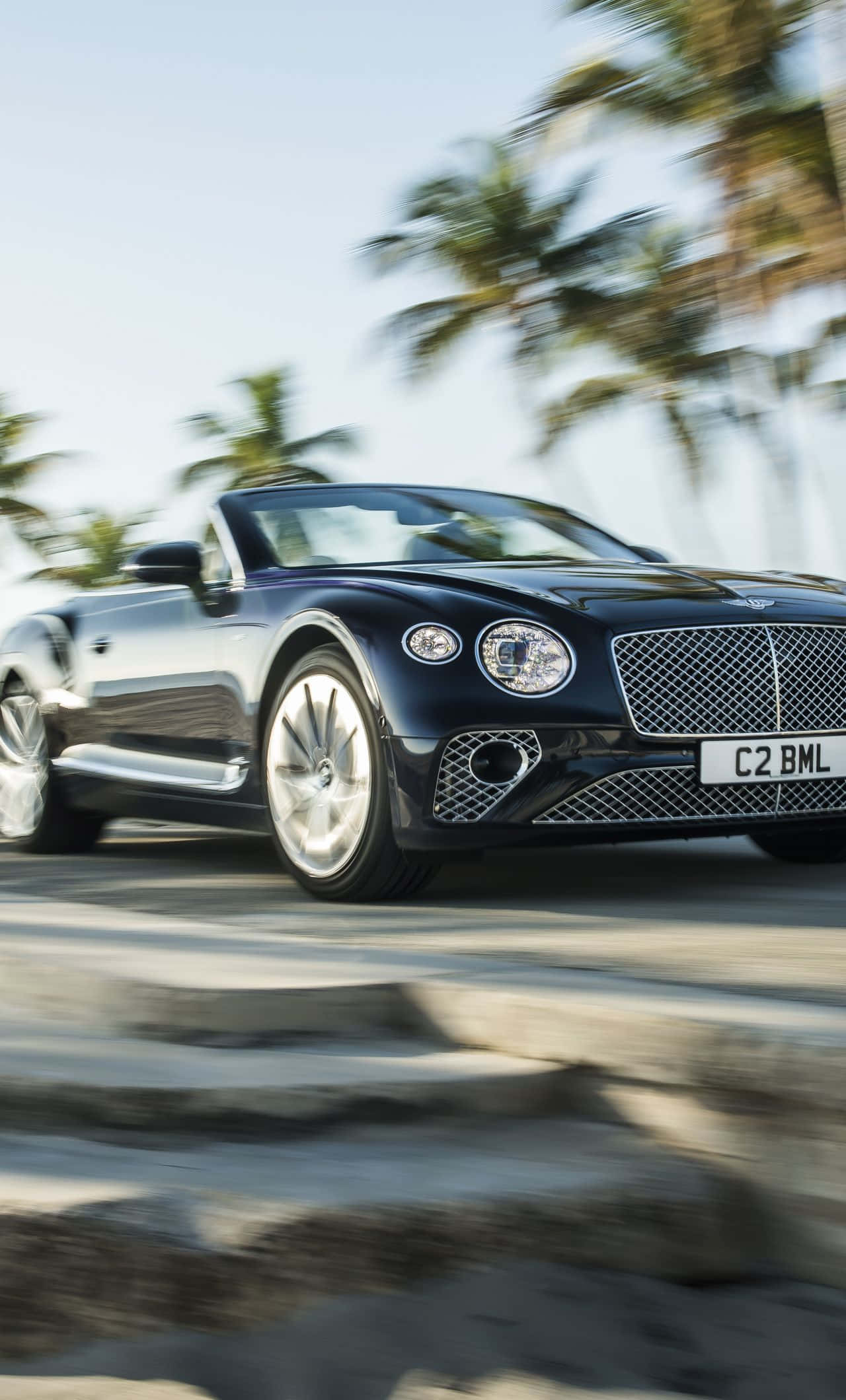 Bentley Continental Gt 桌布 壁紙 — 一輛時尚的黑色賓利敞篷車沿著海岸公路飛馳，背景中的棕櫚樹在明亮的日光下模糊不清。