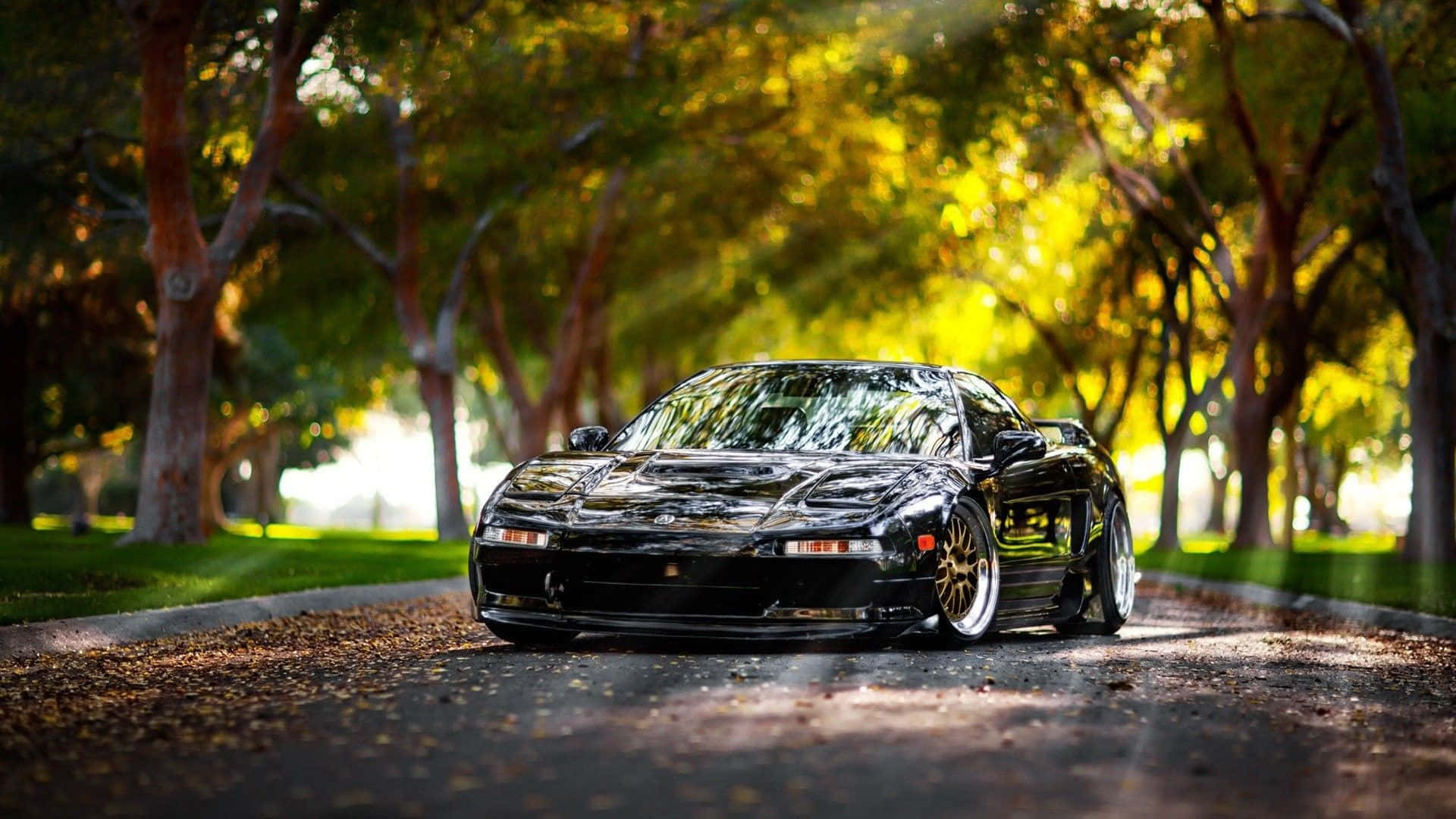 JDM 車 桌布 壁紙 — 一輛時尚的黑色跑車配金色輪圈，在灑滿金色陽光的林蔭大道上滑行，陽光穿過秋葉灑落。