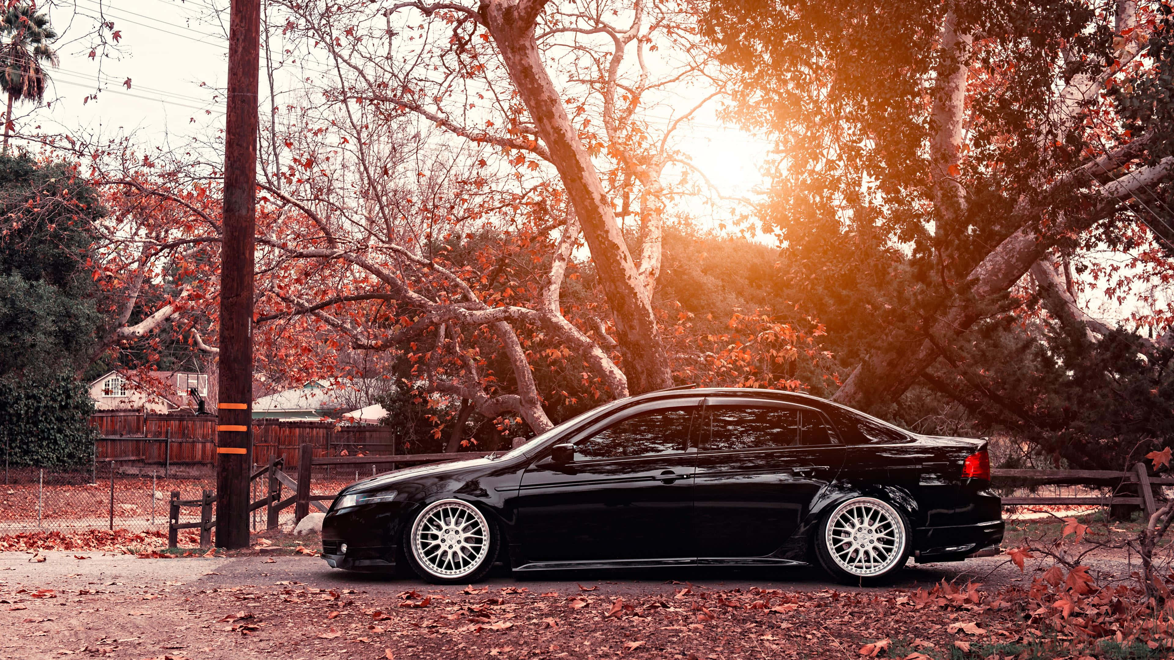 Acura Tsx 桌布 壁紙 — 一輛時尚的黑色轎車配白色輪圈，停在秋天的樹下，金色的陽光穿過落葉灑落。