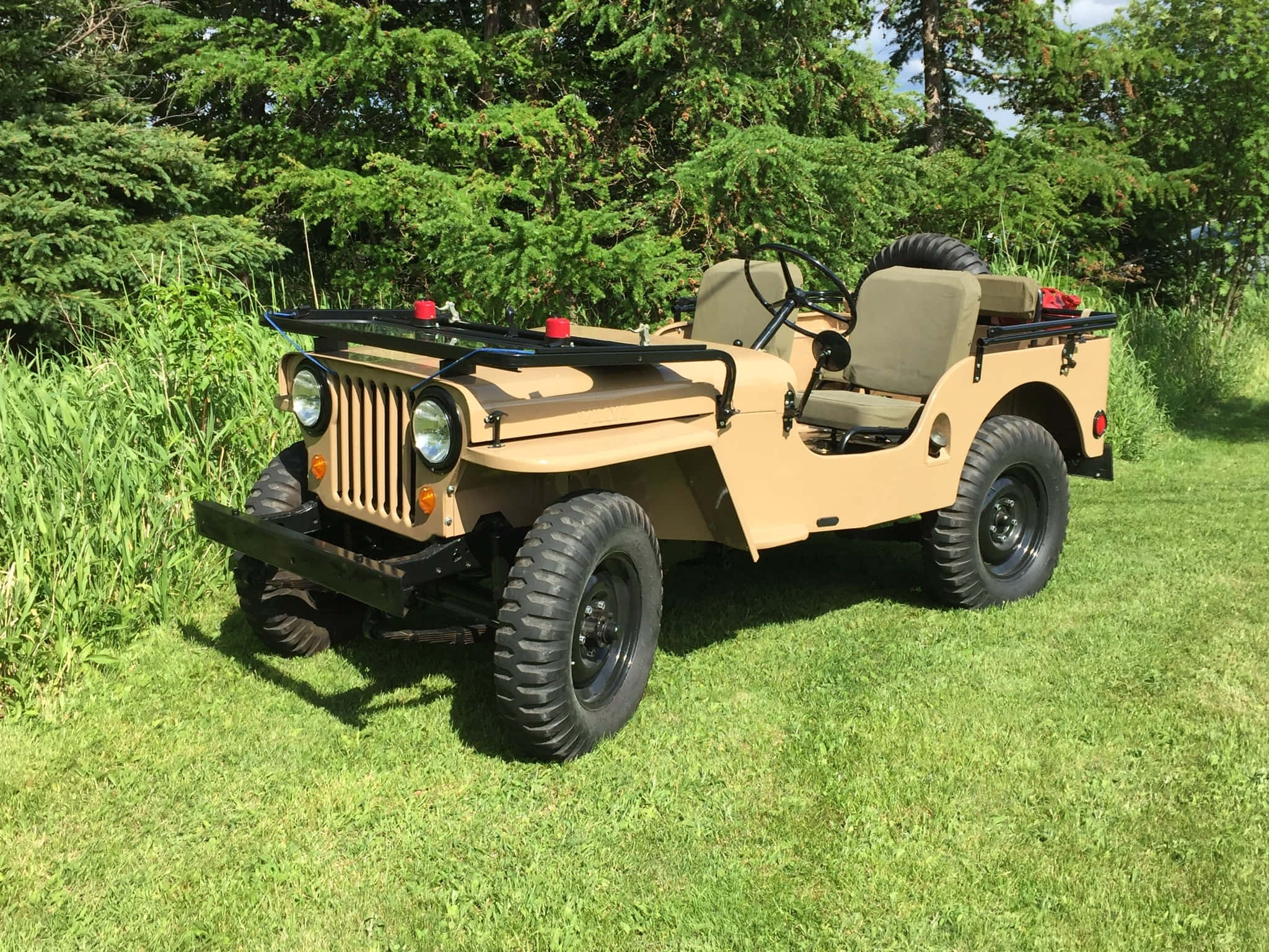 Jeep Willys 桌布 壁紙 — 一輛棕褐色復古軍用吉普車停在茂密的綠色草地上，背景是茂密的常青樹，在明亮的陽光下。