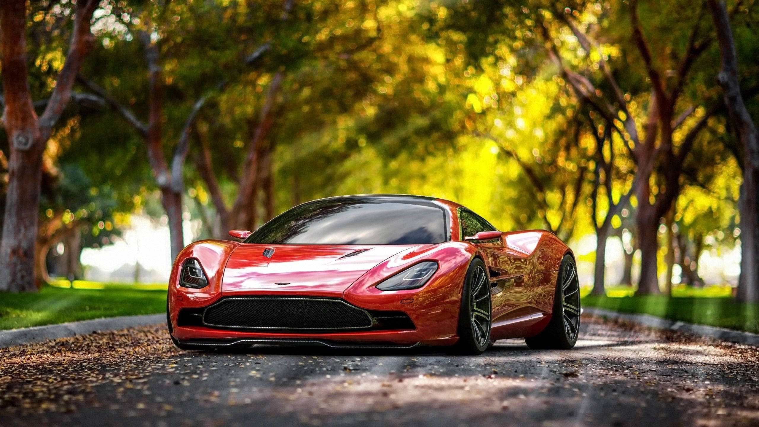Sports Car 桌布 壁紙 — 一輛流線型紅色跑車在金色陽光下閃閃發光，陽光穿過綠樹成蔭的道路上茂密綠樹的樹冠。