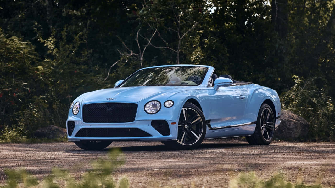Bentley Continental Gt Convertible 桌布 壁紙 — 一輛淺藍色賓利開篷車停泊在碎石路上，周圍是茂密的綠樹。