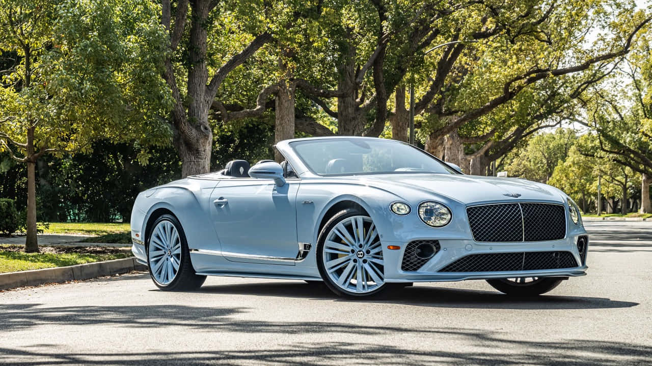 Bentley Continental Gt Convertible 桌布 壁紙 — 一輛淺藍色賓利開篷車停泊在陽光普照的林蔭大道上。