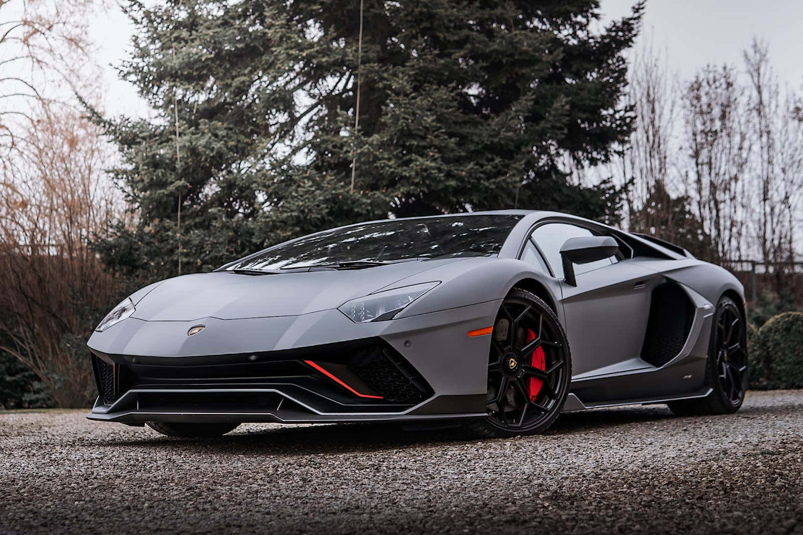 一輛灰色蘭博基尼停在樹前 壁紙 — 一架啞光灰色林寶堅尼 Aventador 配紅色制動卡鉗，停泊在碎石路上，旁邊有常綠樹。