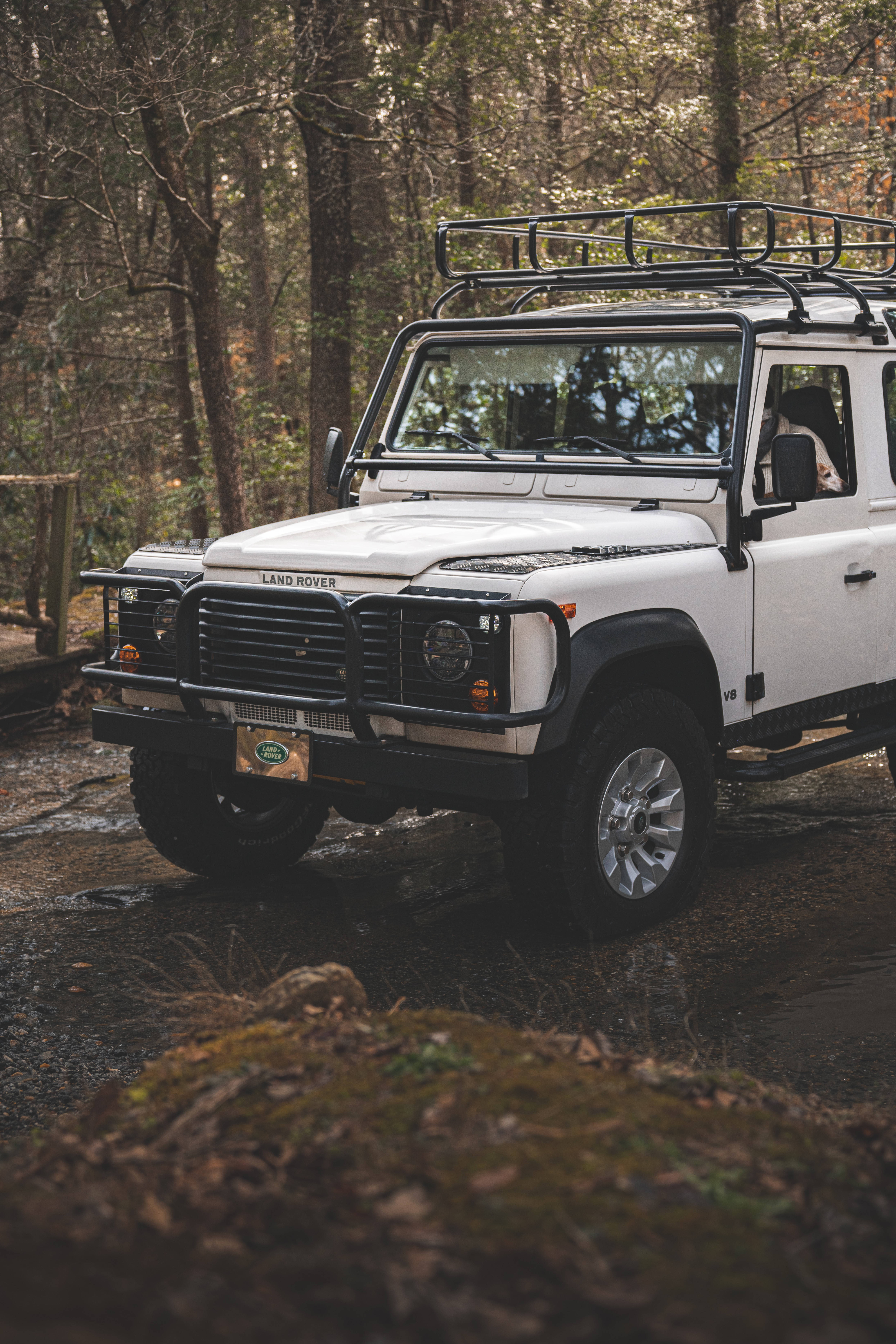 Land Rover Jeep 壁紙 — 一輛白色 Land Rover Defender 配備車頂架，停泊在長滿苔蘚的森林小徑上，周圍環繞著高大的樹木。
