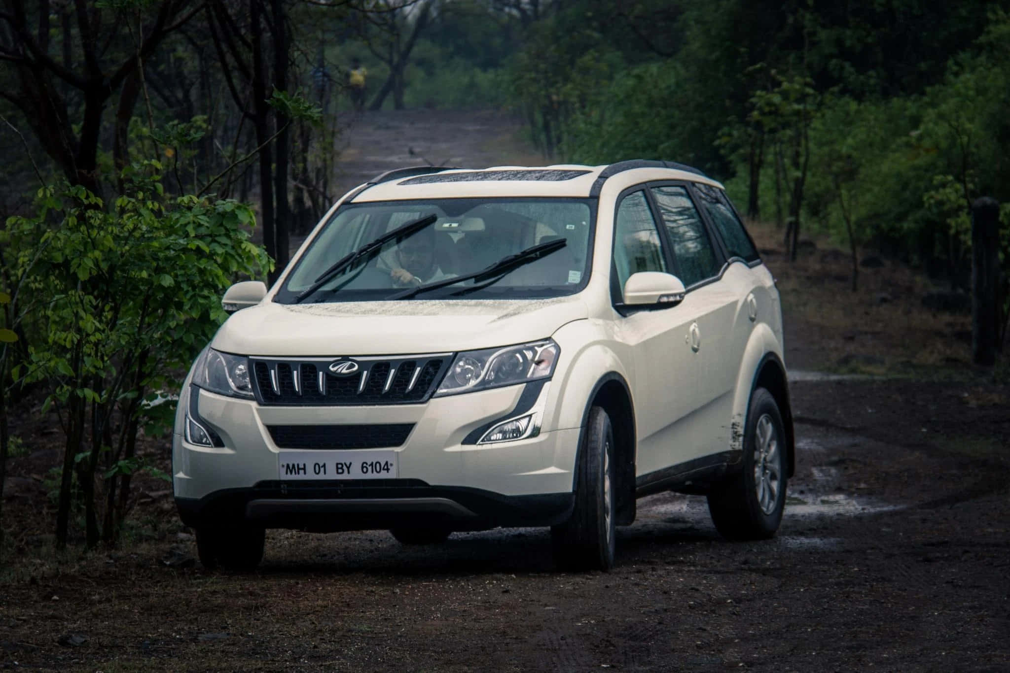 Mahindra 桌布 壁紙 — 一輛白色Mahindra XUV500 SUV停泊在泥濘的森林道路上，周圍是茂密的綠樹。