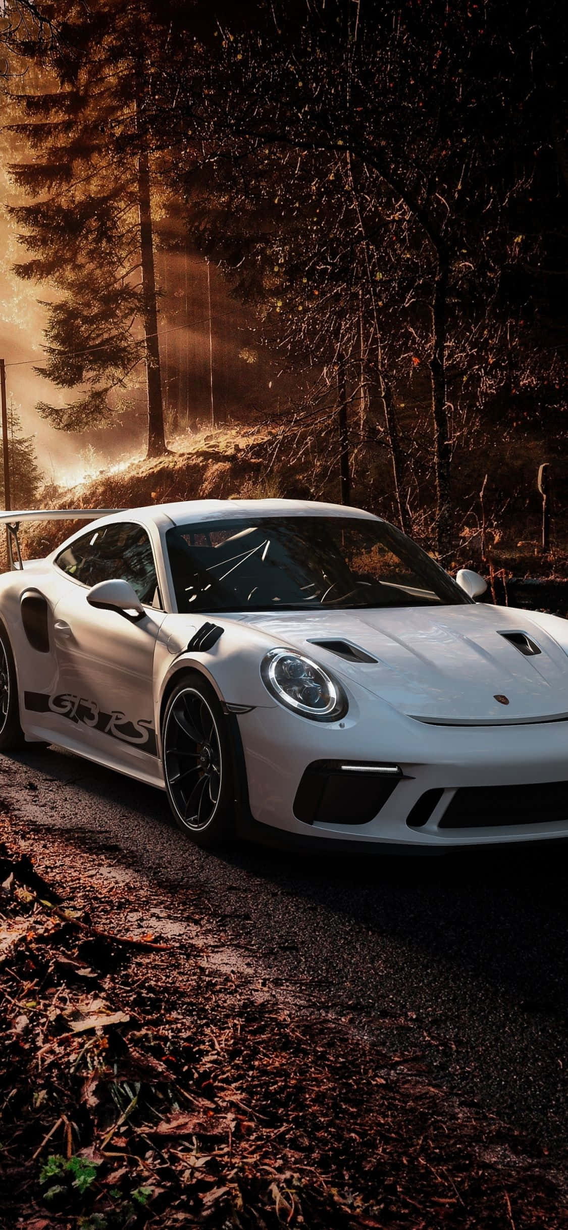 Porsche iPhone 桌布 壁紙 — 一輛白色保時捷911 GT3 RS停泊在森林道路上，沐浴在透過高大樹木灑落的金色夕陽光中。