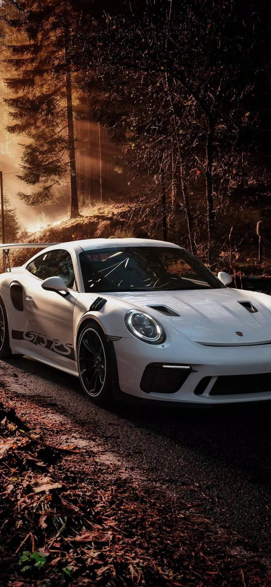 手機 桌布 壁紙 — 一輛白色保時捷911 GT3 RS在金色夕陽下閃閃發光，停在一條兩旁種滿高大樹木和落葉的森林道路上。