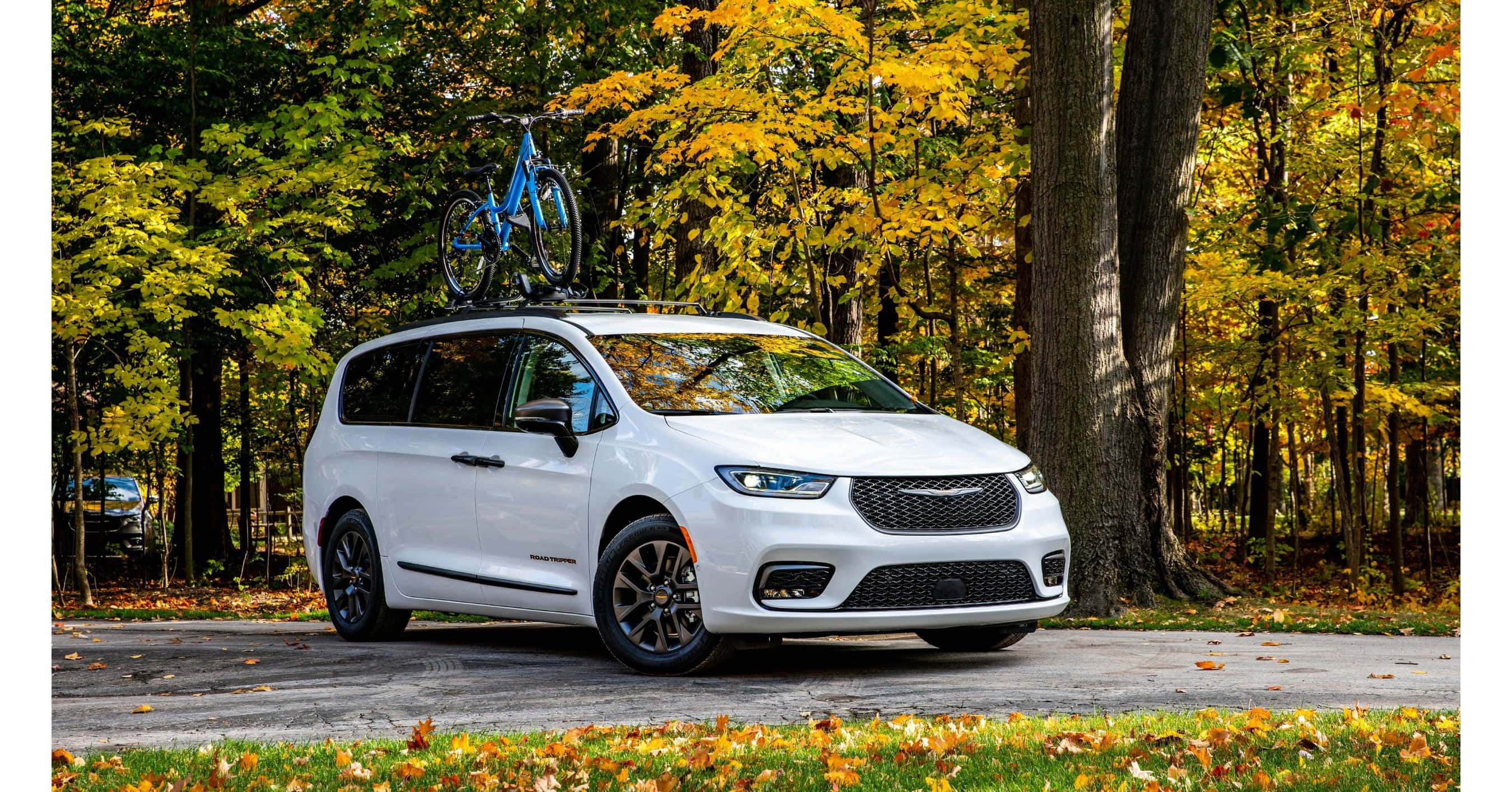 Chrysler Pacifica 桌布 壁紙 — 一輛白色小型貨車車頂載著一輛藍色單車，停泊在充滿鮮豔秋葉的森林道路上。