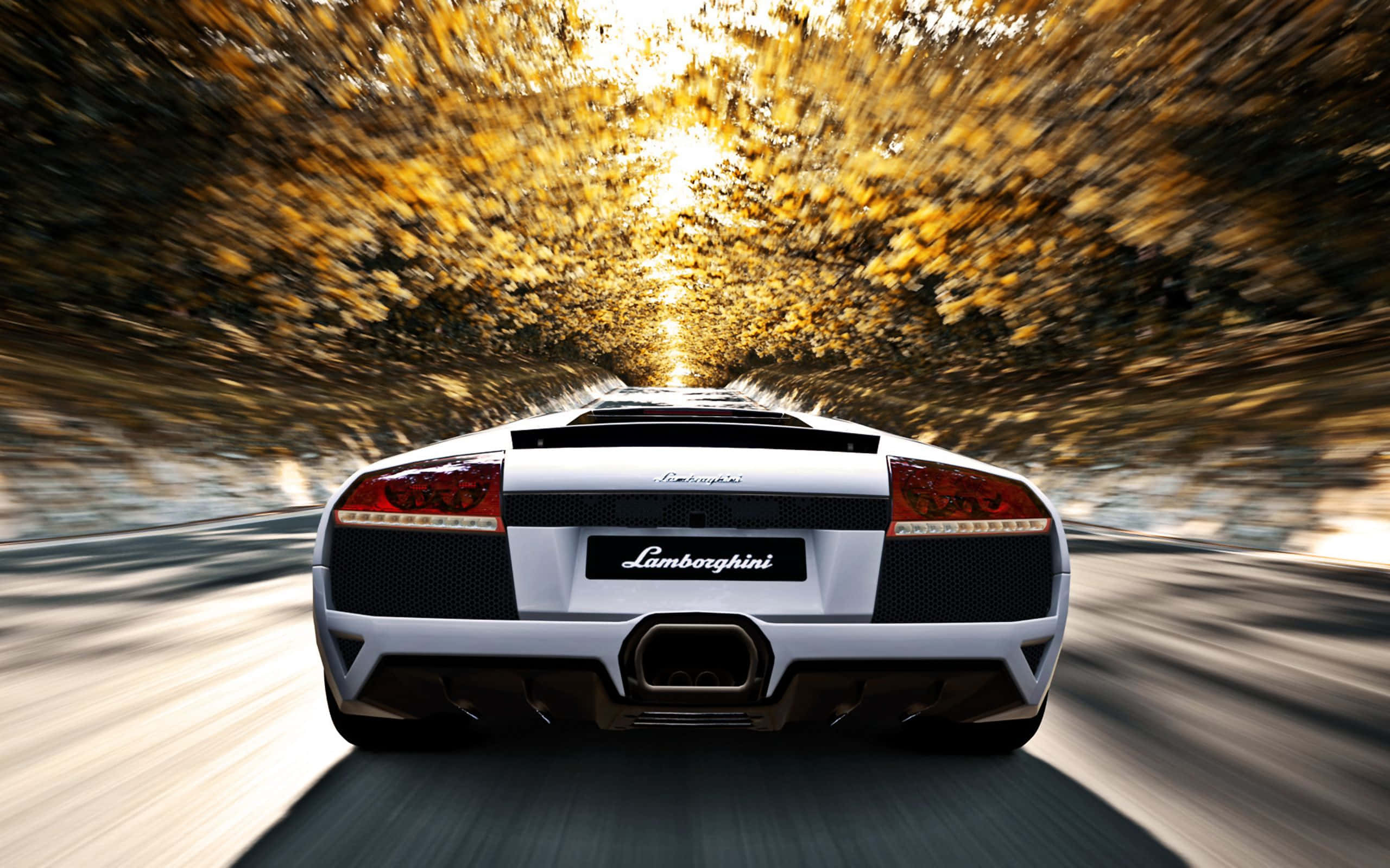 Lamborghini Murciélago 桌布 壁紙 — 一輛白色林寶堅尼在金色秋葉隧道中高速行駛，帶有動態模糊效果。