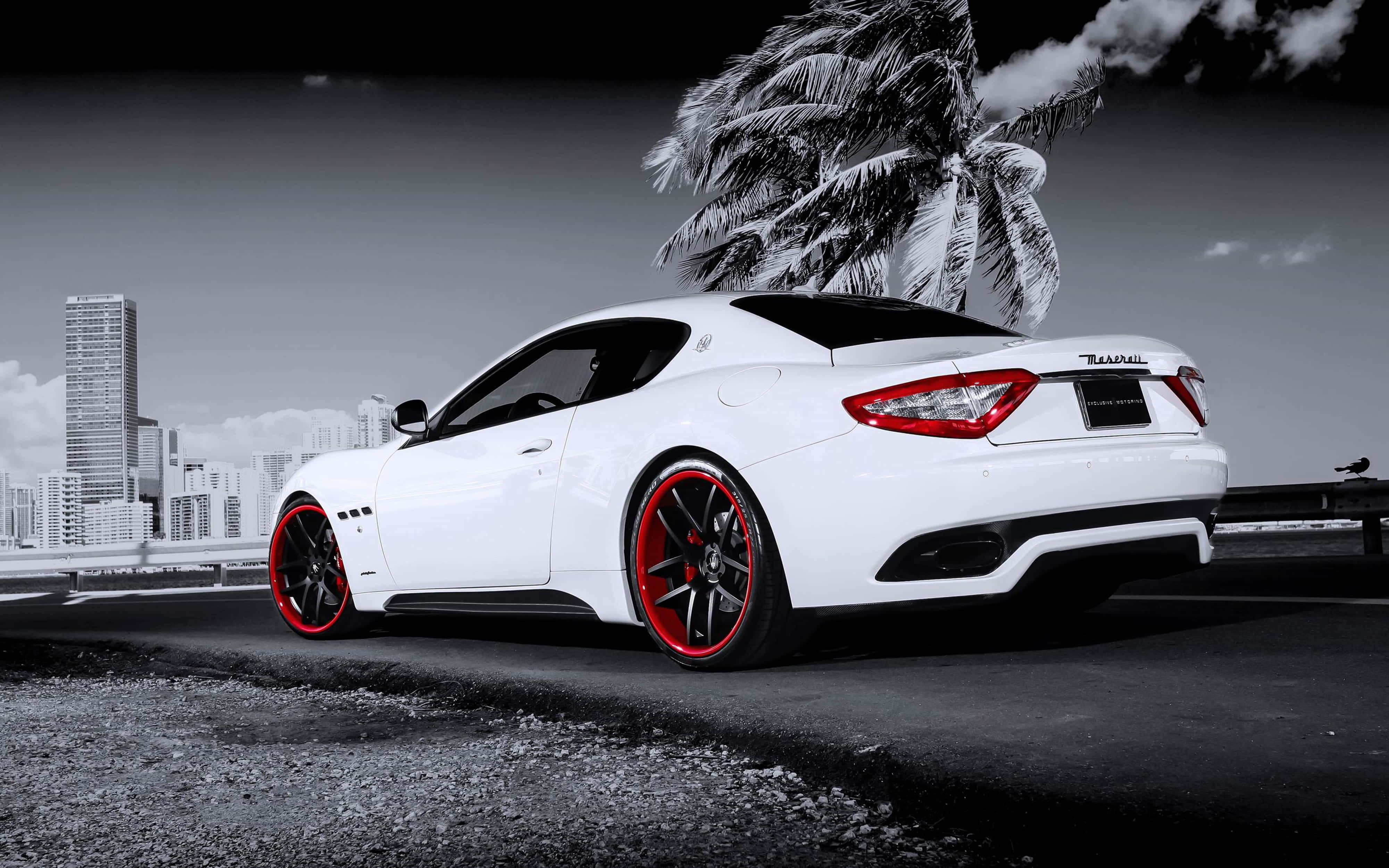 White Maserati With Red Accent 4K 壁紙 — 一輛白色瑪莎拉蒂跑車配紅色輪圈，停泊在棕櫚樹和城市天際線旁邊的道路上。
