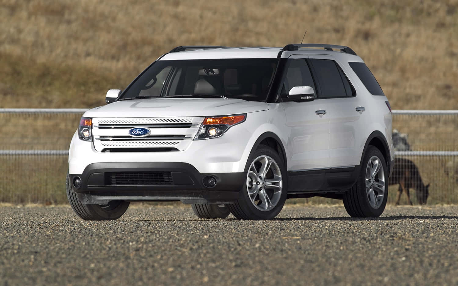 Ford Explorer 桌布 壁紙 — 一輛白色福特探索者SUV停泊在碎石上，後面有圍欄和乾草。