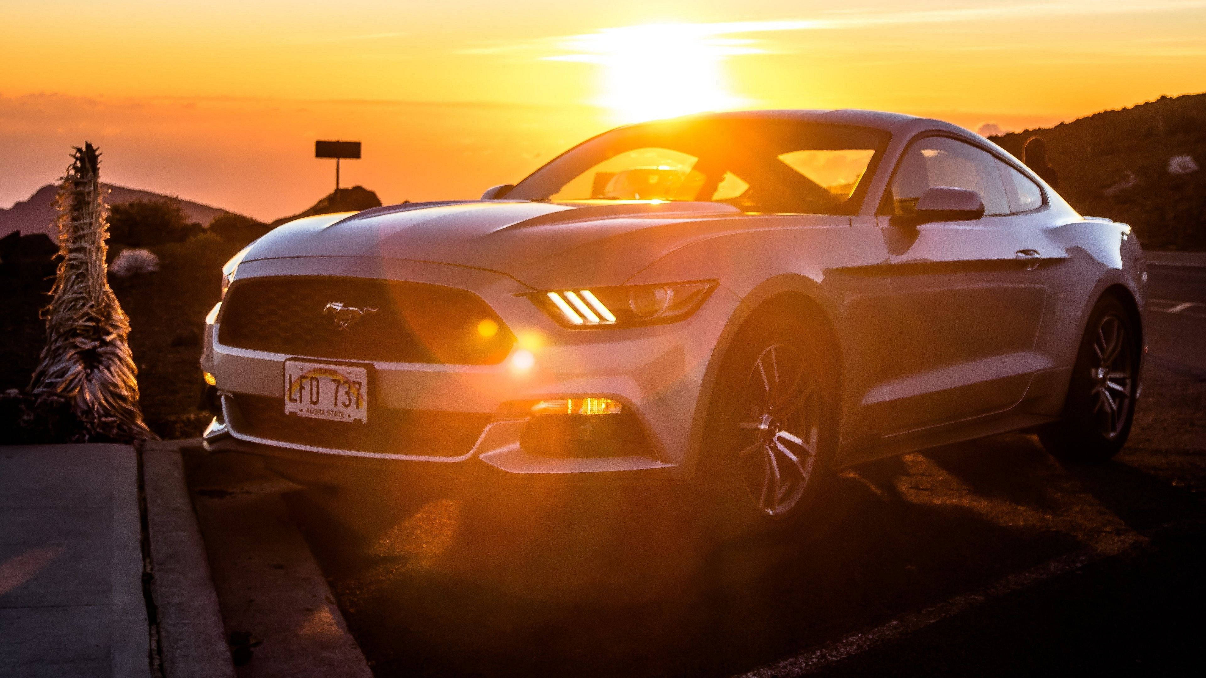 mustang HD 桌布 壁紙 — 一輛白色福特野馬在金色夕陽下閃耀，溫暖的光線在沙漠路邊投下長長的影子。