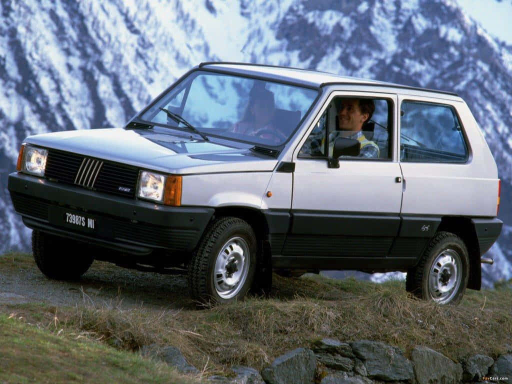 Fiat Panda 桌布 壁紙 — 一輛白色菲亞特熊貓4x4停泊在長滿草的山坡上，背景是白雪覆蓋的山峰。