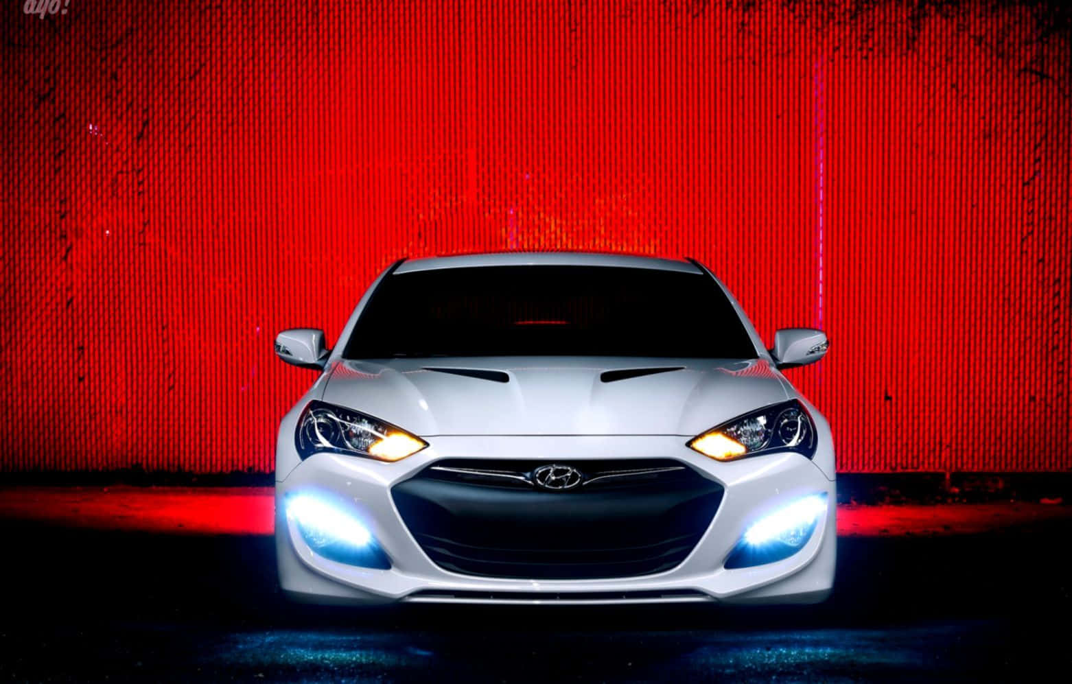 Hyundai Genesis 桌布 壁紙 — 一輛白色跑車亮著發光的前燈，正面朝向一面鮮紅色的紋理牆，在戲劇性的燈光下。