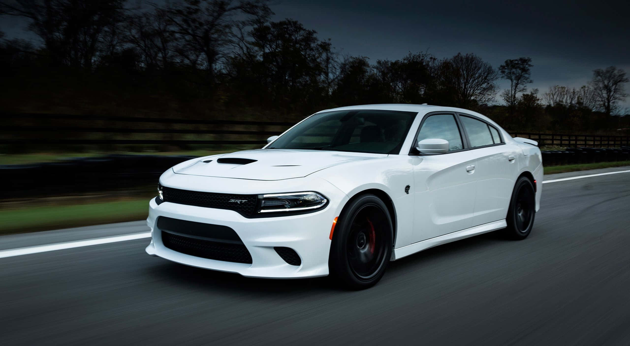 Dodge Charger 桌布 壁紙 — 一輛白色道奇Charger RT在潮濕的道路上疾馳，背景是模糊的樹木和圍欄，籠罩在陰沉的暮色中。