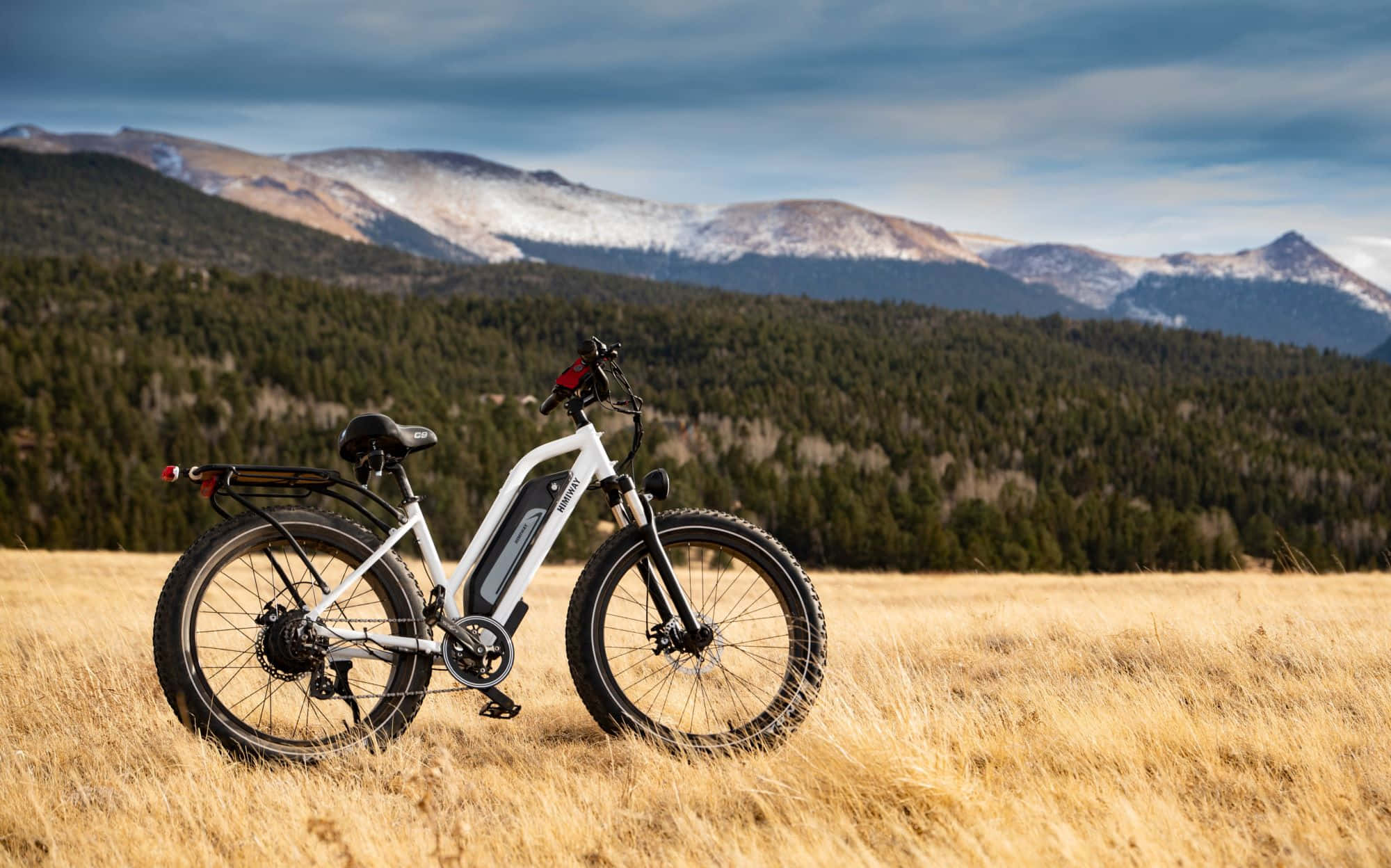 Electric Bike 桌布 壁紙 — 一輛白色電動單車獨自矗立在金色草地上，背景是白雪覆蓋的山脈和茂密的森林，天空多雲。