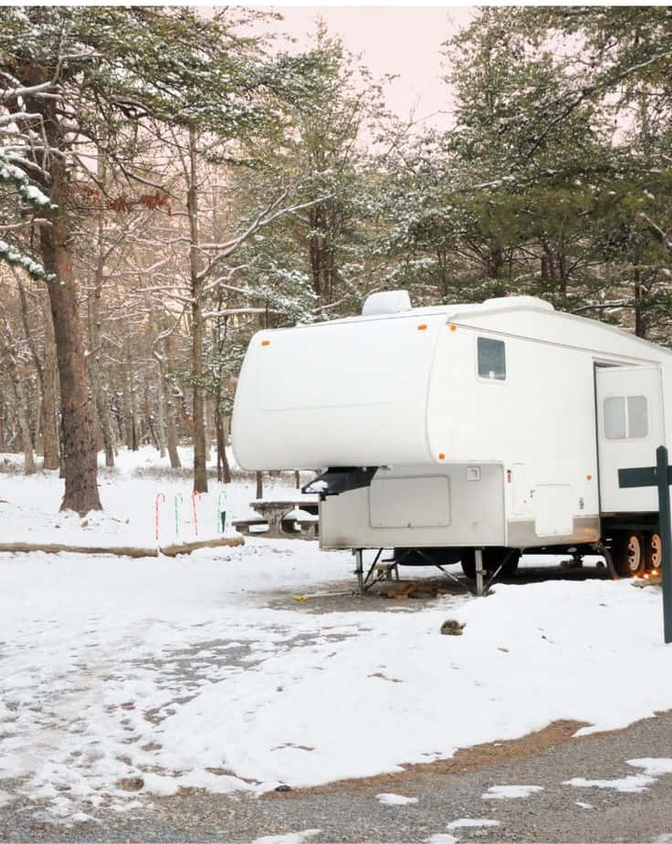 Winter Camping 桌布 壁紙 — 一輛白色露營拖車停泊在雪地森林空地，附近有松樹和野餐桌。
