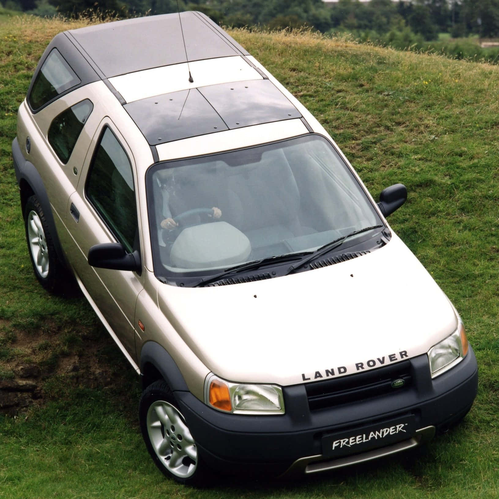 Land Rover Freelander 桌布 壁紙 — 一輛米色Land Rover Freelander SUV停泊在草木茂盛的山坡上，背景是森林。