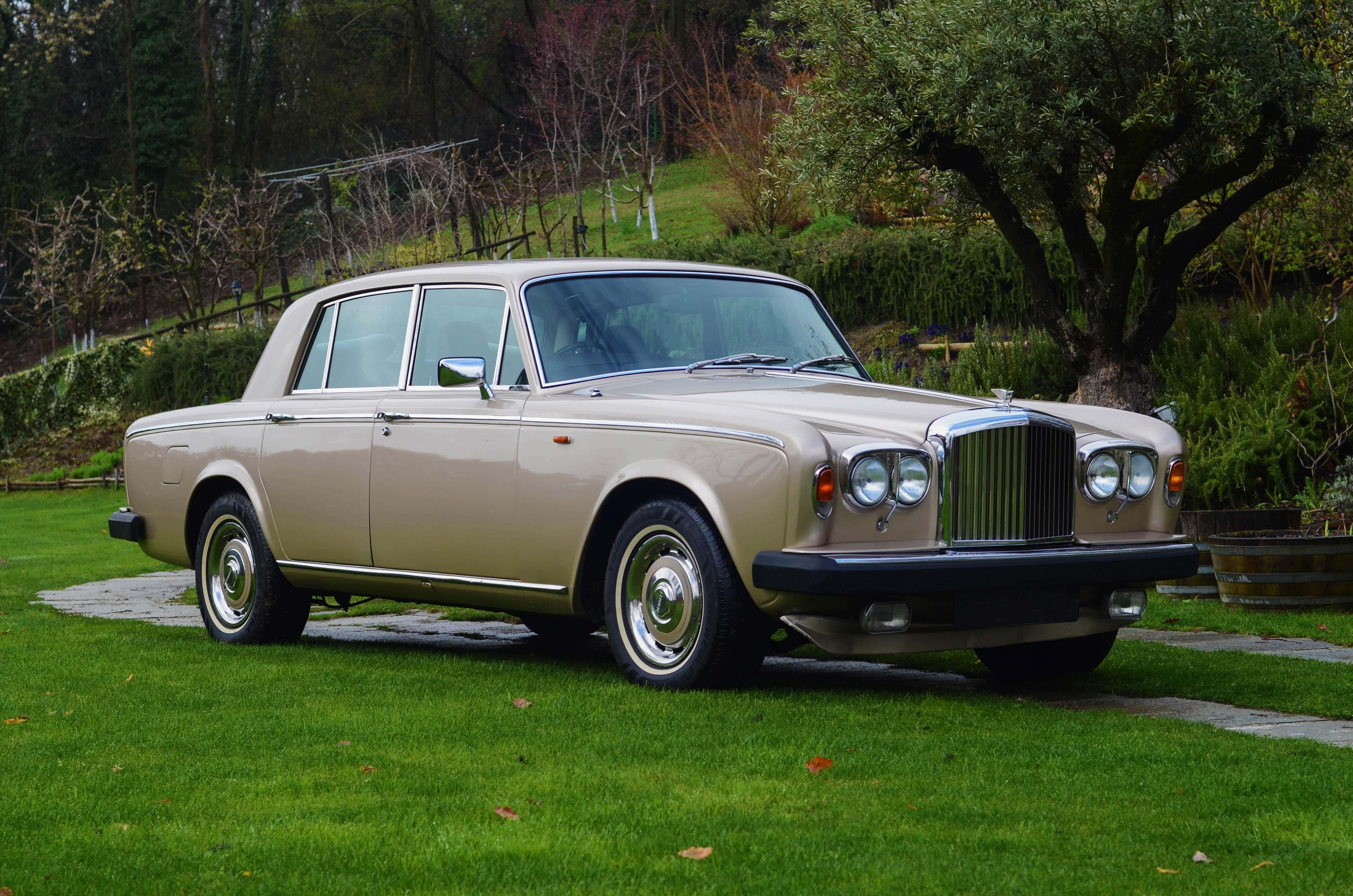 Bentley T2 桌布 壁紙 — 一輛米色賓利S1房車停泊在茂密的綠色草坪上，背景有樹木和一條石徑。