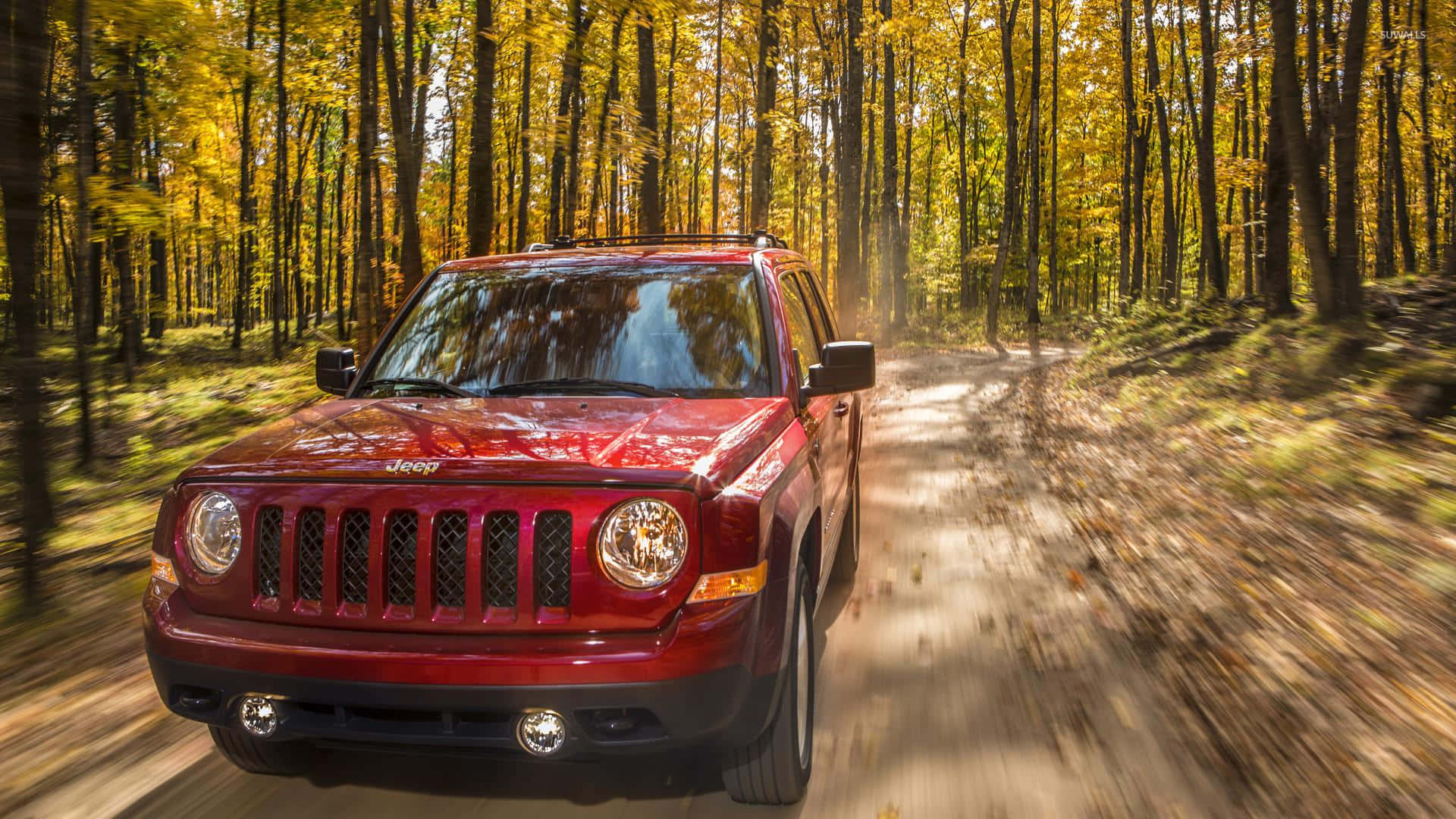Jeep Patriot 桌布 壁紙 — 一輛紅色Jeep Patriot在陽光明媚的秋日森林中疾馳，金色樹葉在輪胎周圍旋轉。