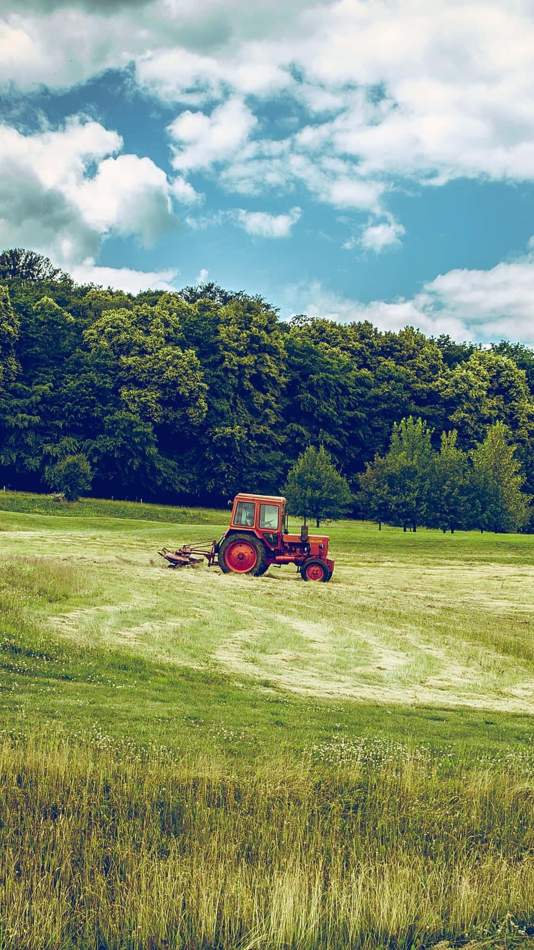 Agriculture 桌布 壁紙 — 一輛紅色拖拉機在陽光明媚的綠色田野中耕作，天空湛藍，白雲朵朵。