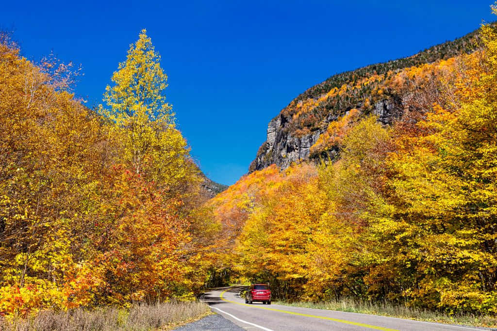 Fall Road 桌布 壁紙 — 一輛紅色汽車沿著蜿蜒的道路行駛，兩旁是色彩繽紛的秋樹，頭頂是清澈的藍天。