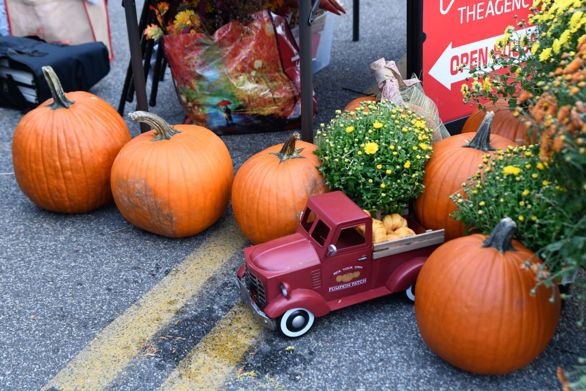 Fall Festival 桌布 壁紙 — 一輛紅色玩具卡車載著南瓜和黃色菊花，停在瀝青路上，旁邊是真南瓜，在秋季節日活動中。
