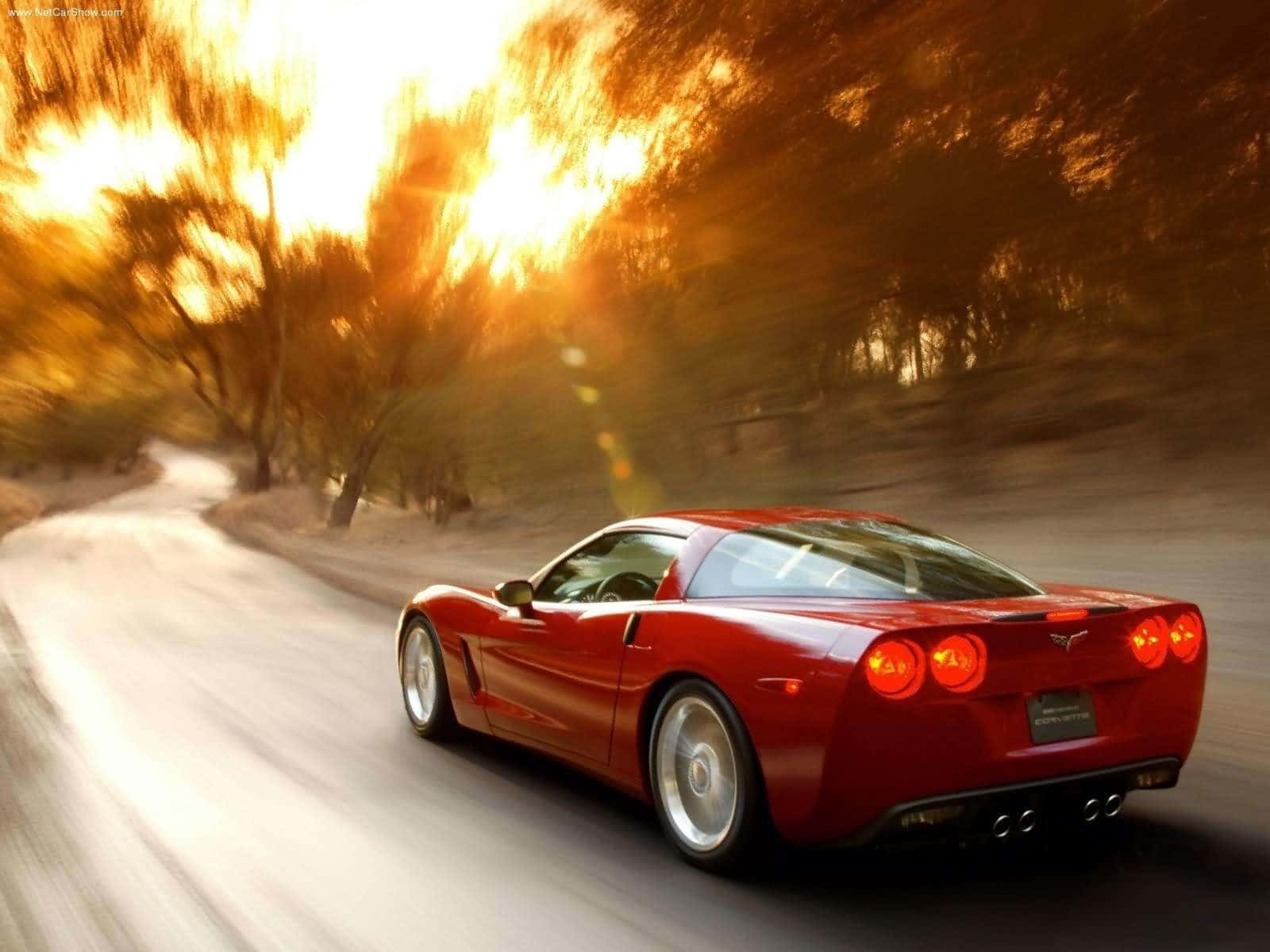 corvette 桌布 壁紙 — 一輛紅色跑車在日落時分沿著蜿蜒的道路疾馳，金色光芒穿過樹林閃耀。