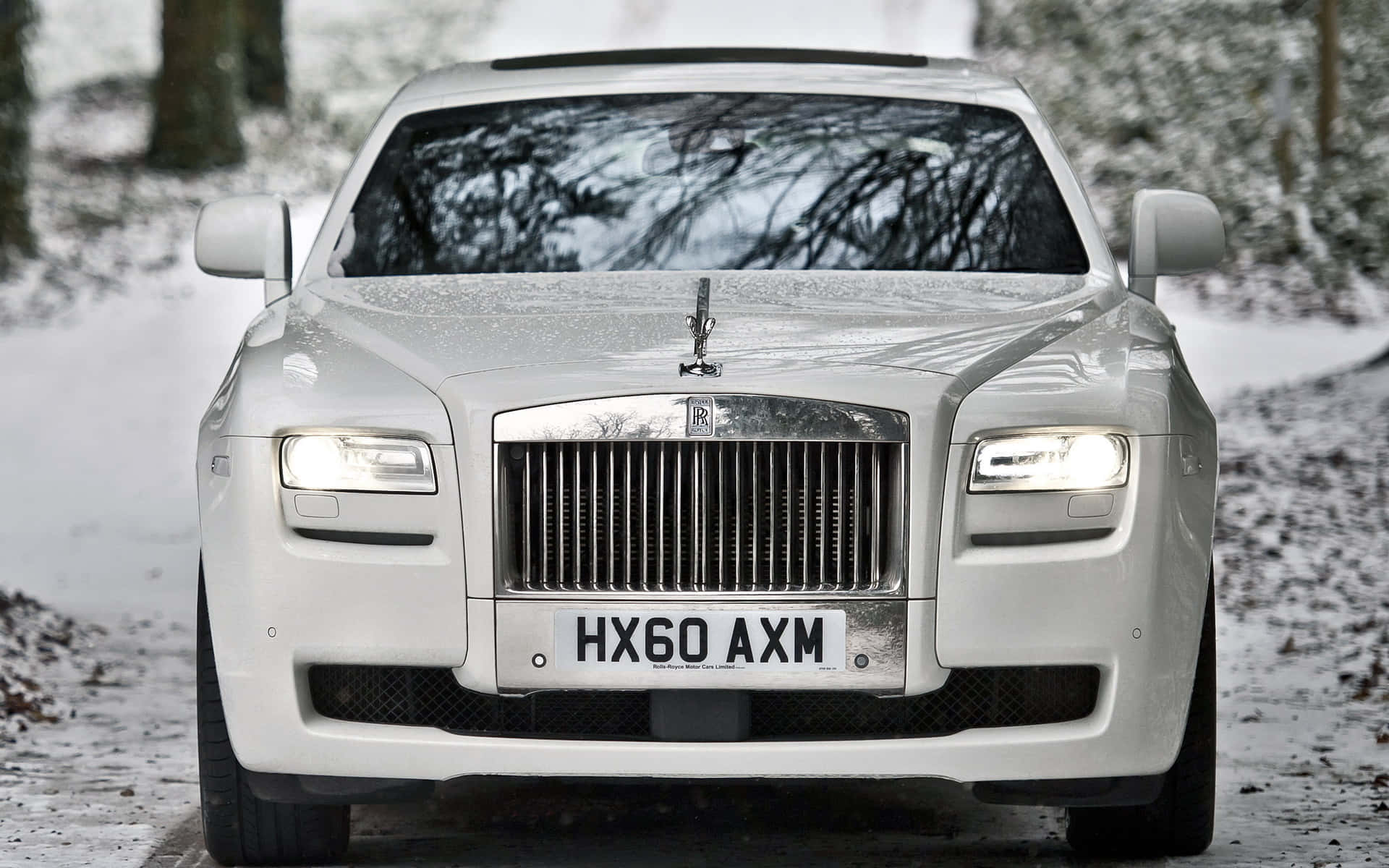Rolls Royce 桌布 壁紙 — 一輛純白色的勞斯萊斯 Ghost 在冬日陽光下閃耀，停在白雪覆蓋的森林小路上，背景是光禿禿的樹木。